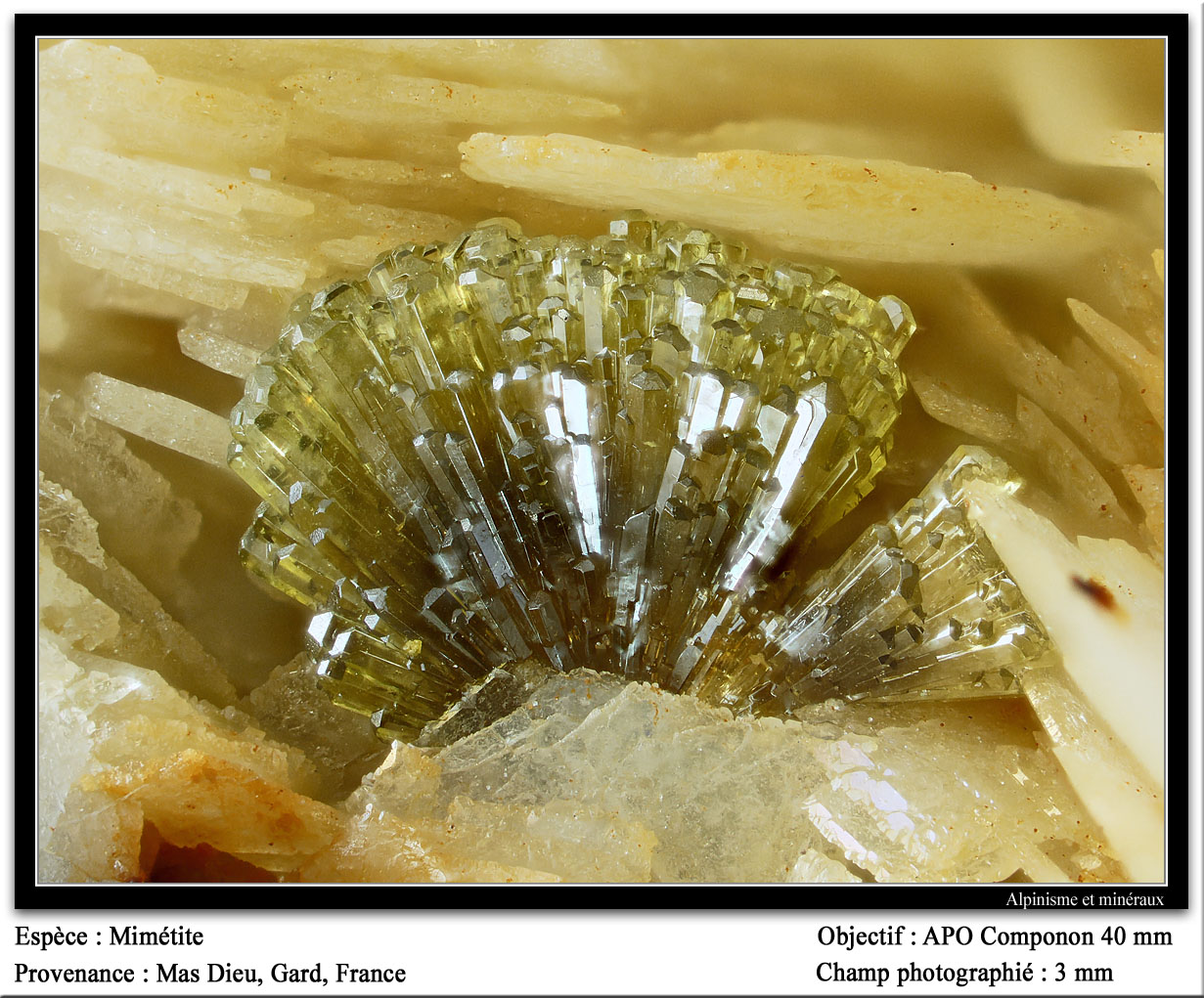 Mimetite
fov 3 mm
(Autor: ploum)