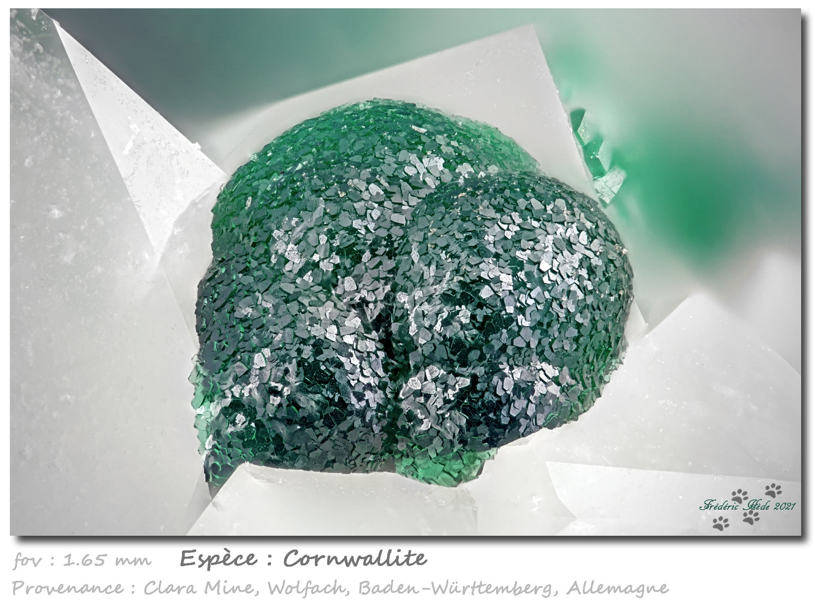 Cornwallite
fov 1.65 mm
(Autor: ploum)