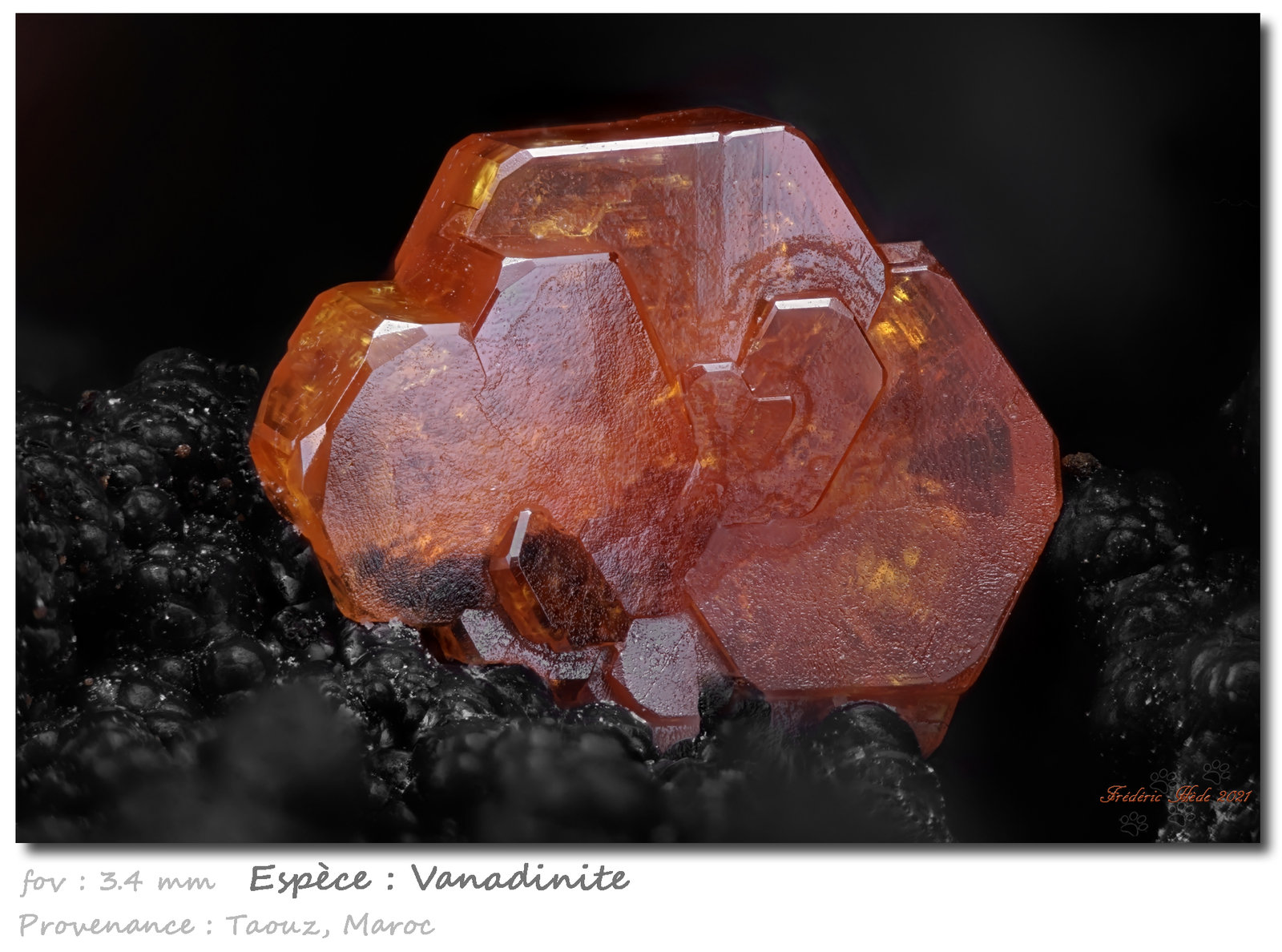 Vanadinite
fov 3.7 mm
(Autor: ploum)