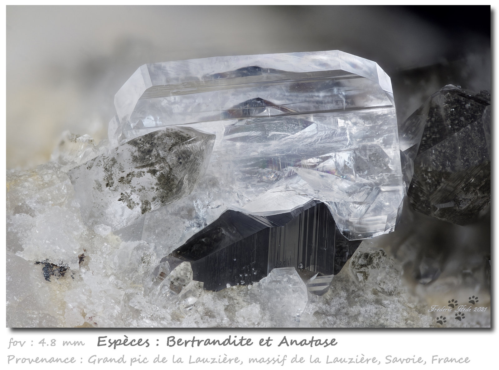 Bertrandite on Anatase
fov 4.8 mm
(Autor: ploum)