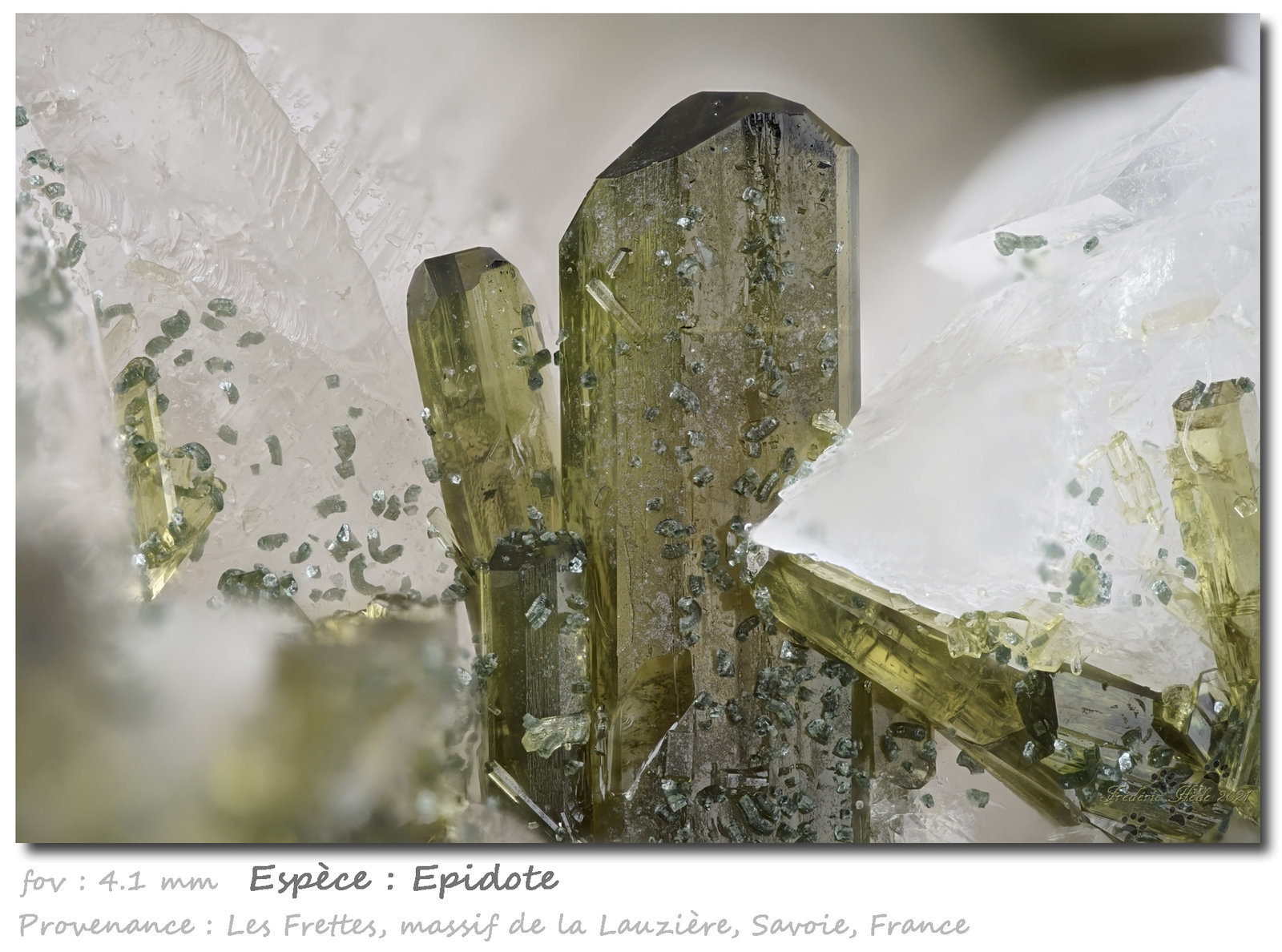 Epidote
fov 4.1 mm
(Autor: ploum)