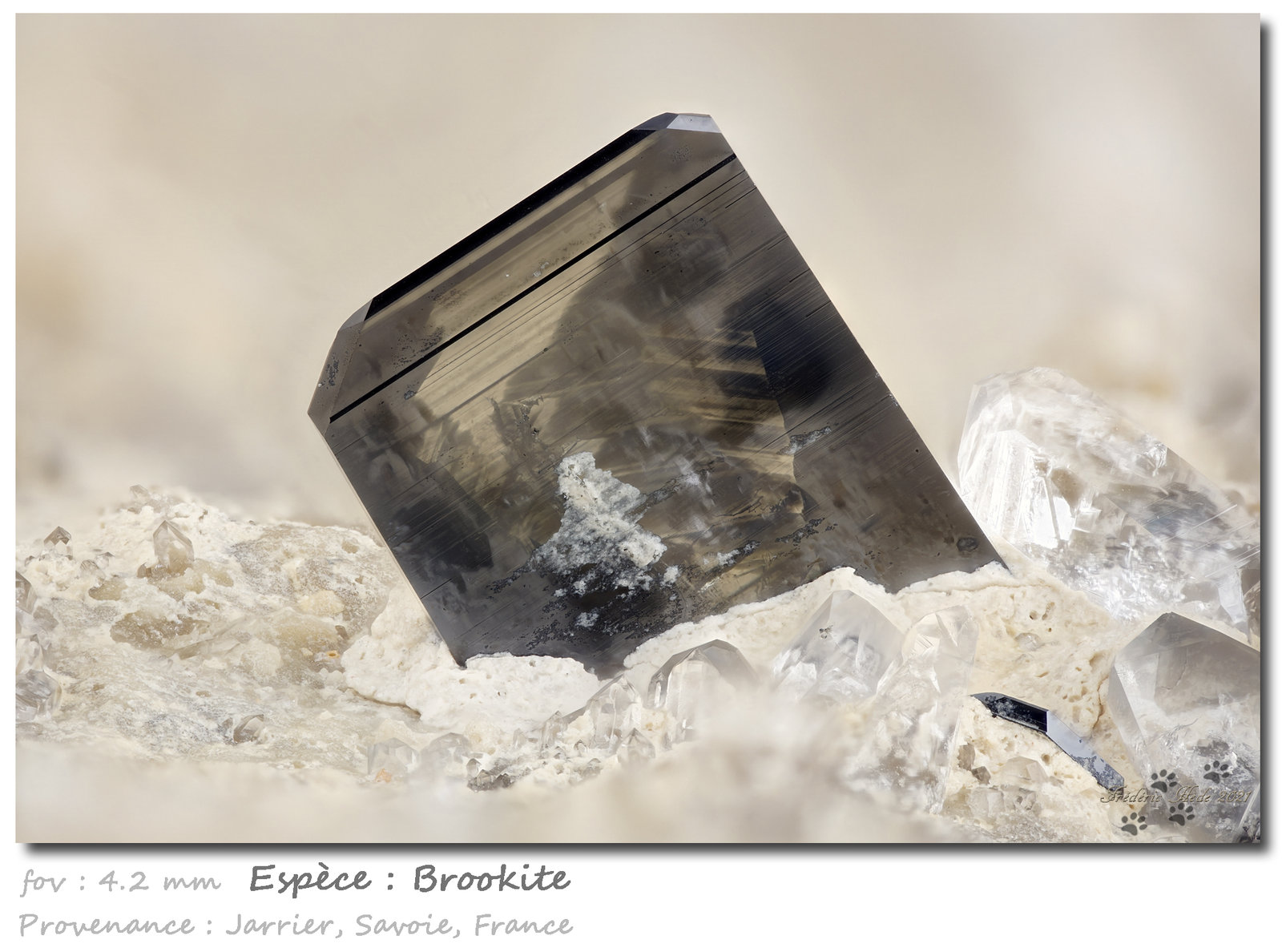 Brookite and Anatase
fov 4.2 mm
(Autor: ploum)