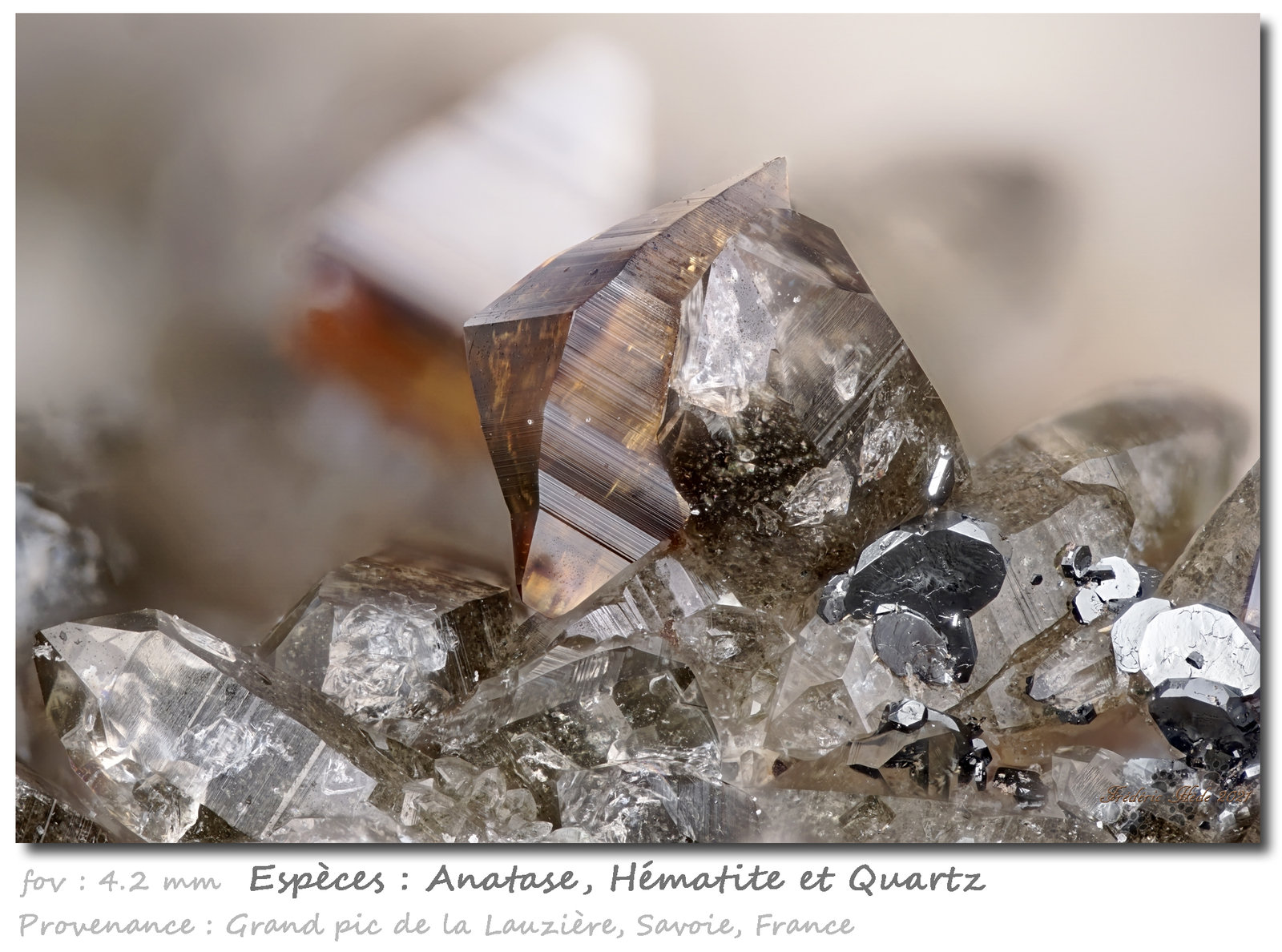Anatase
fov 4.2 mm
(Autor: ploum)