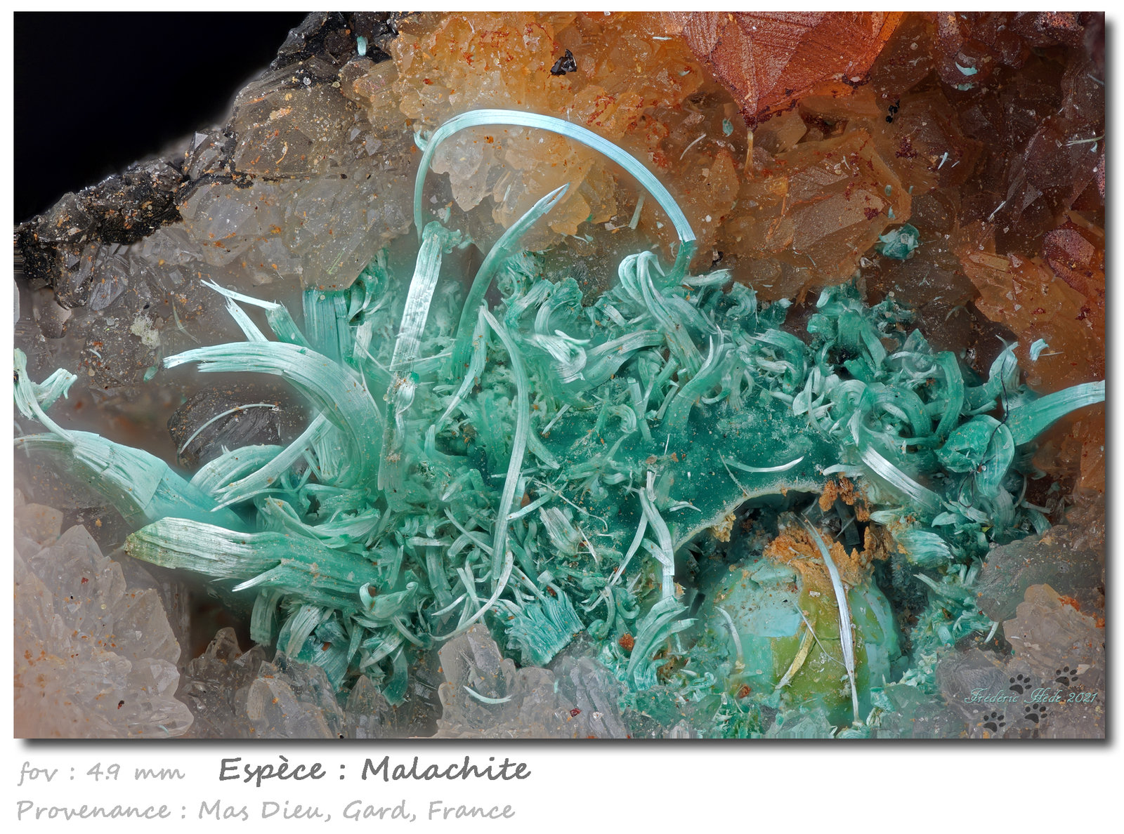 Malachite
fov 4.9 mm
(Autor: ploum)