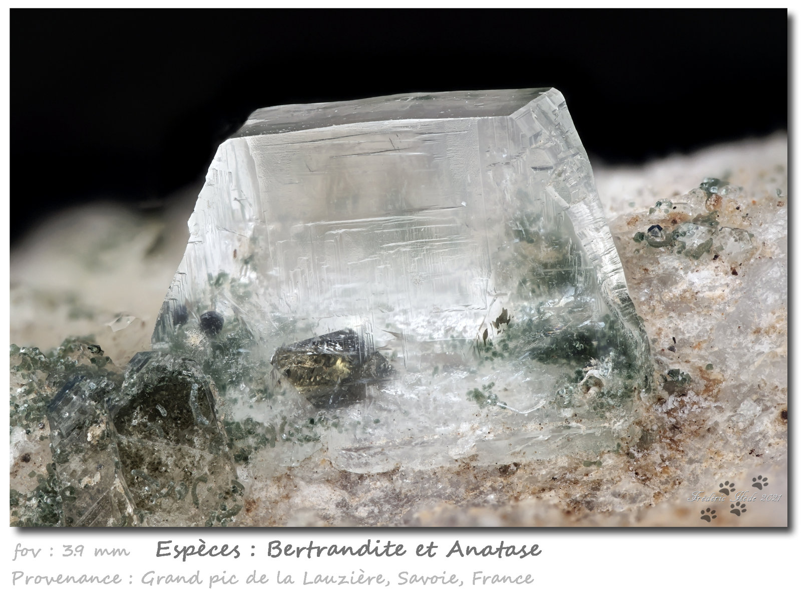 Bertrandite on Anatase
fov 3.9 mm
(Autor: ploum)