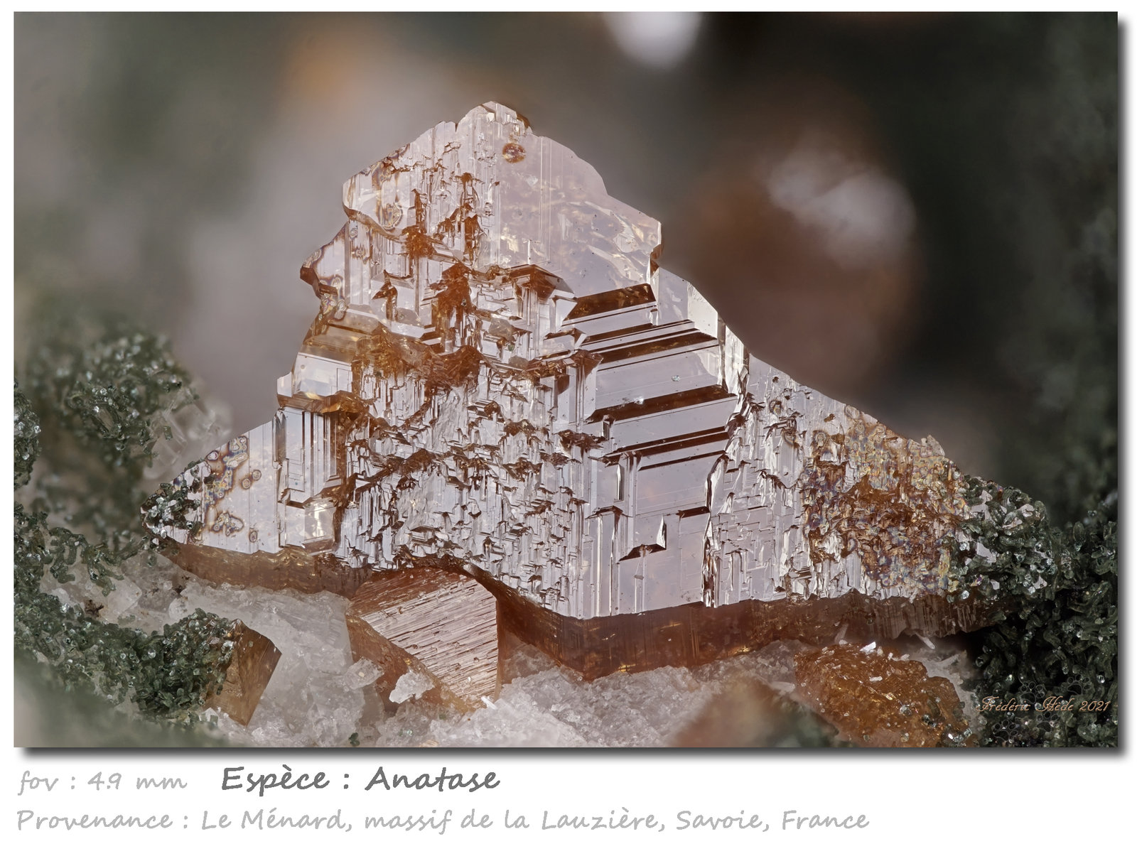 Anatase
fov 4.9 mm
(Autor: ploum)