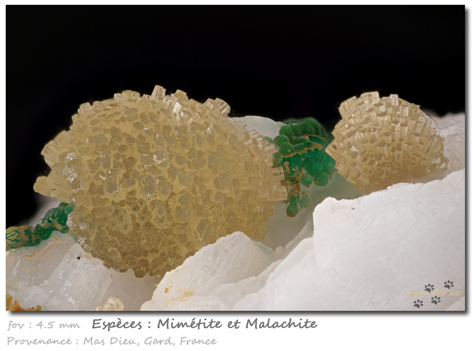 Mimetite and Malachite
fov 4.5 mm
(Autor: ploum)
