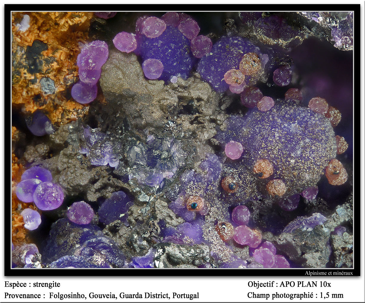 Strengite
fov 1.5 mm
(Autor: ploum)