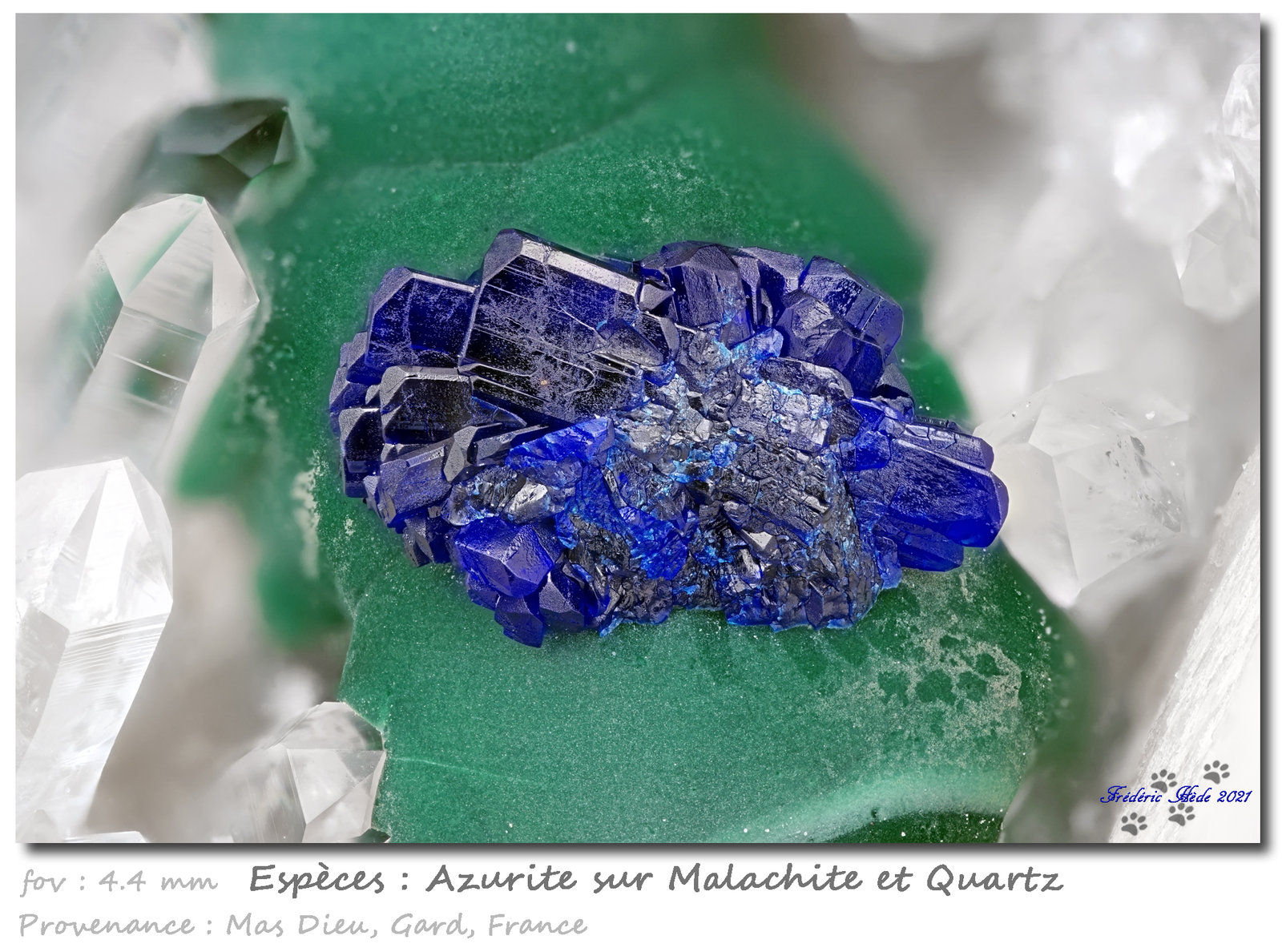Azurite on Malachite
fov 4.4 mm
(Autor: ploum)