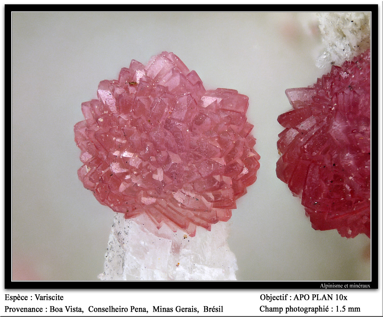 Variscite
fov 1.5 mm
(Autor: ploum)