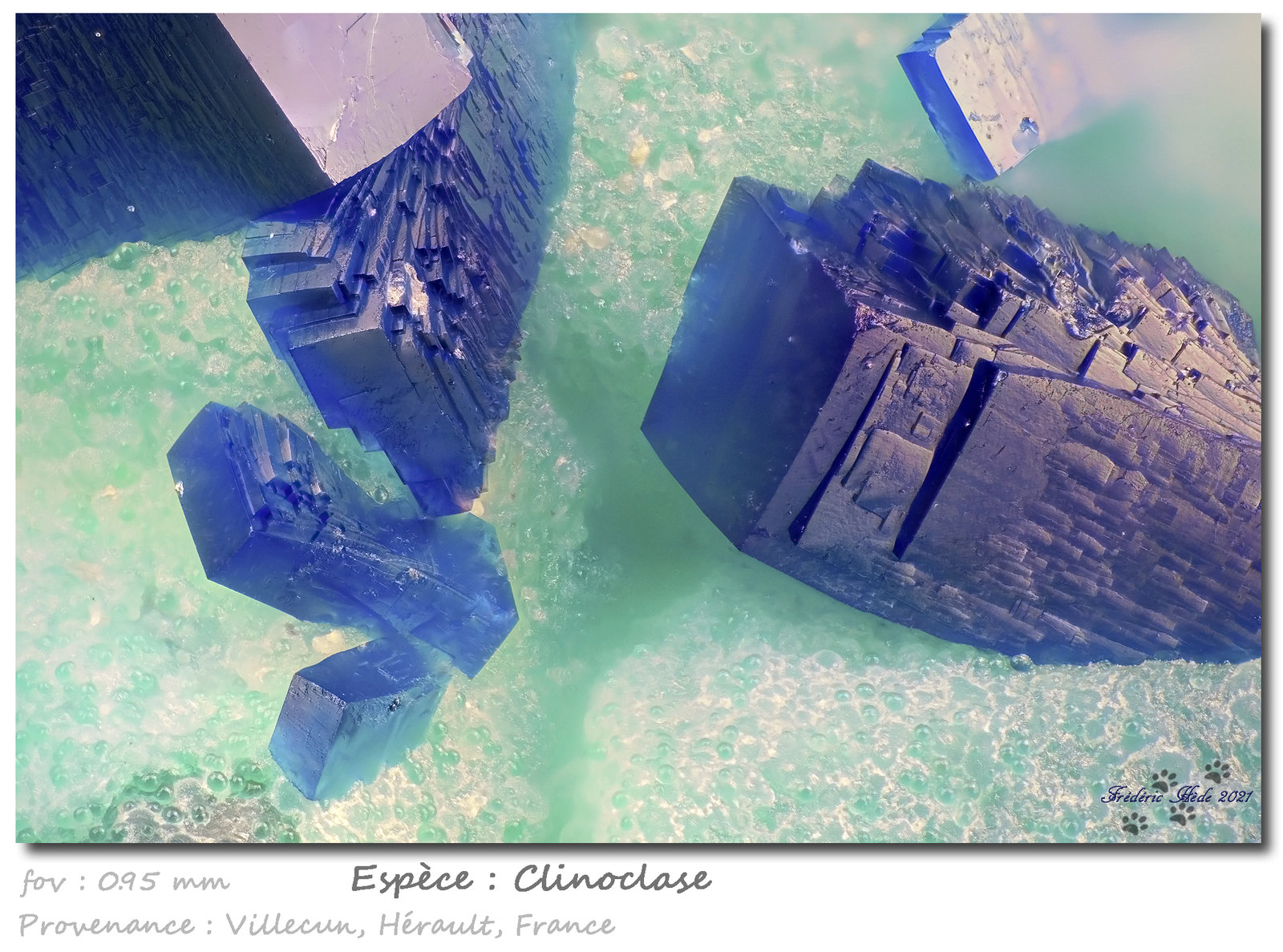 Clinoclase
fov 0.95 mm
(Autor: ploum)