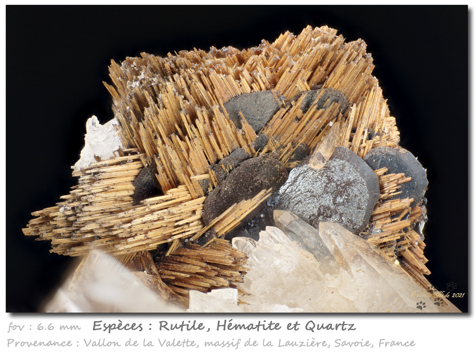 Rutile and Hematite on QUartz
fov 6.6 mm
(Autor: ploum)