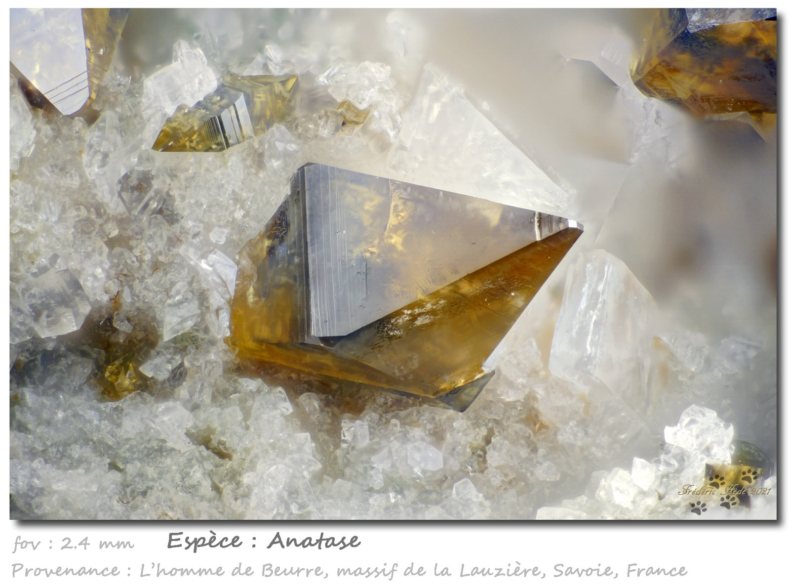 Anatase
fov 2.4 mm
(Autor: ploum)