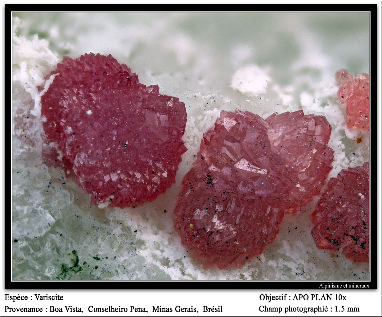 Variscite
fov 1.5 mm
(Autor: ploum)