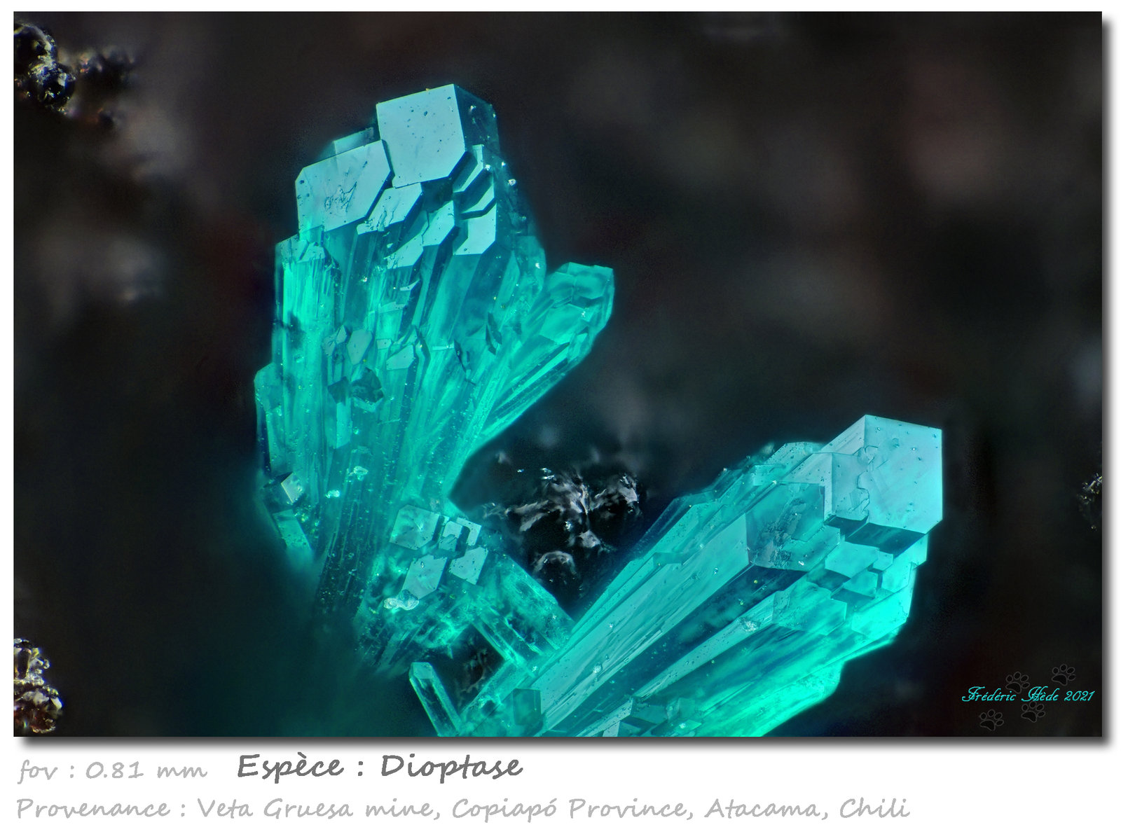 Dioptase
fov 0.81 mm
(Autor: ploum)