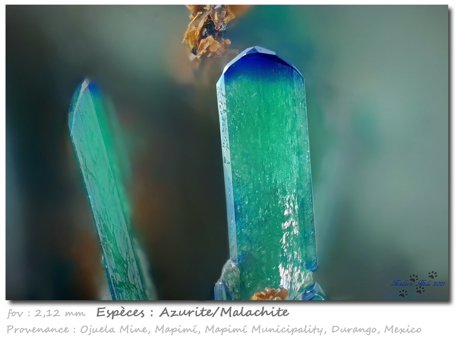 Azurite/Malachite
fov 2.1 mm
(Autor: ploum)
