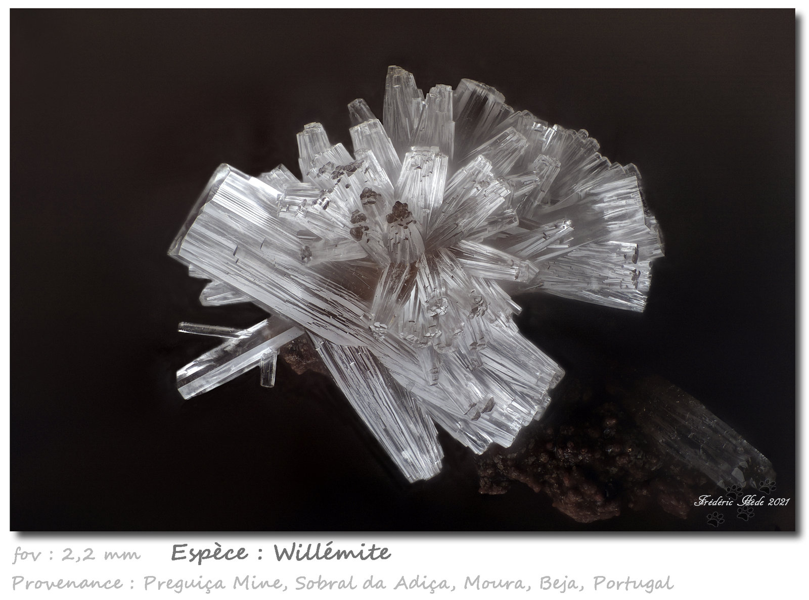 Willemite
fov 2.2 mm
(Autor: ploum)