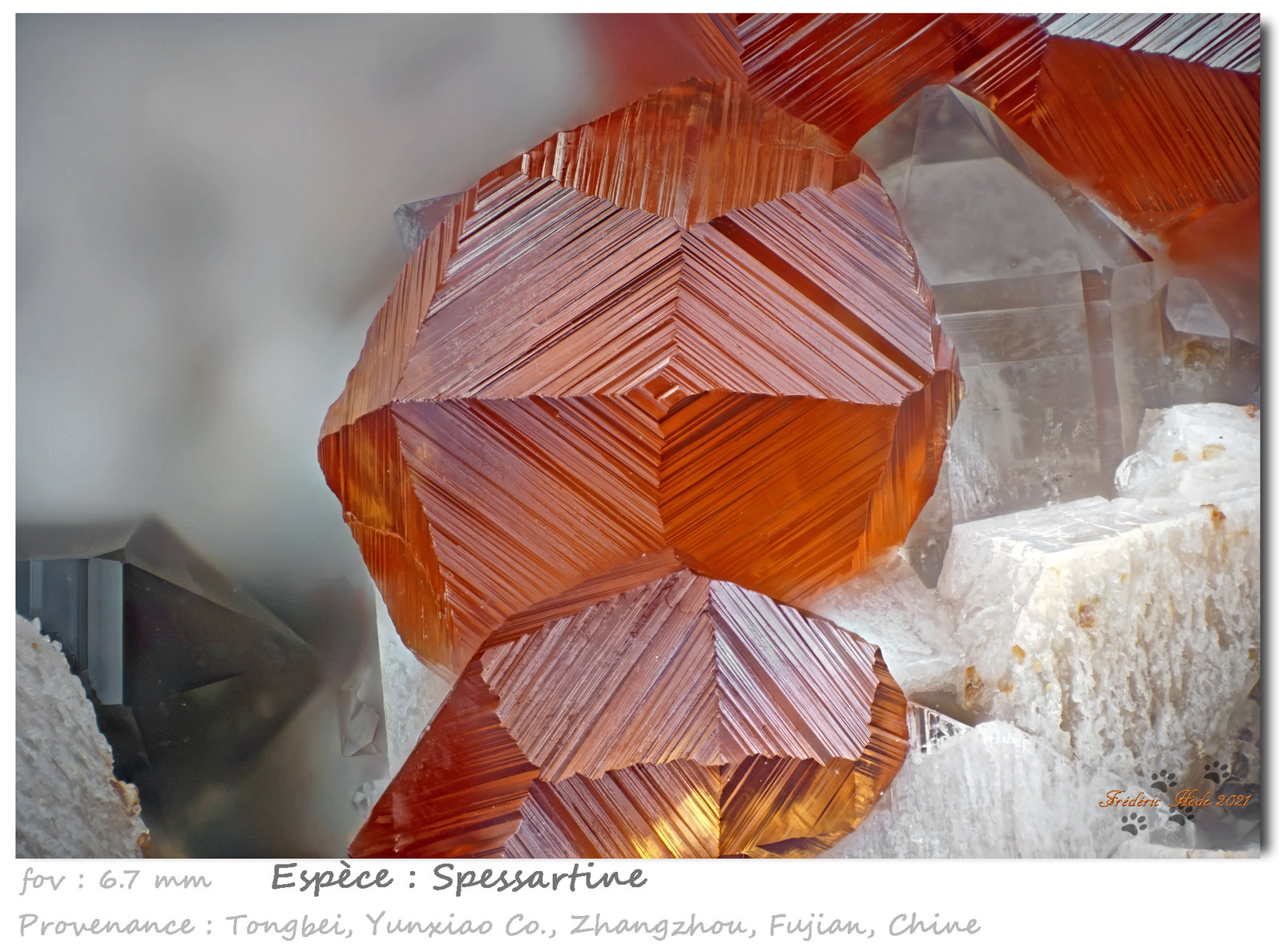 Spessartine
fov 6.7 mm
(Autor: ploum)