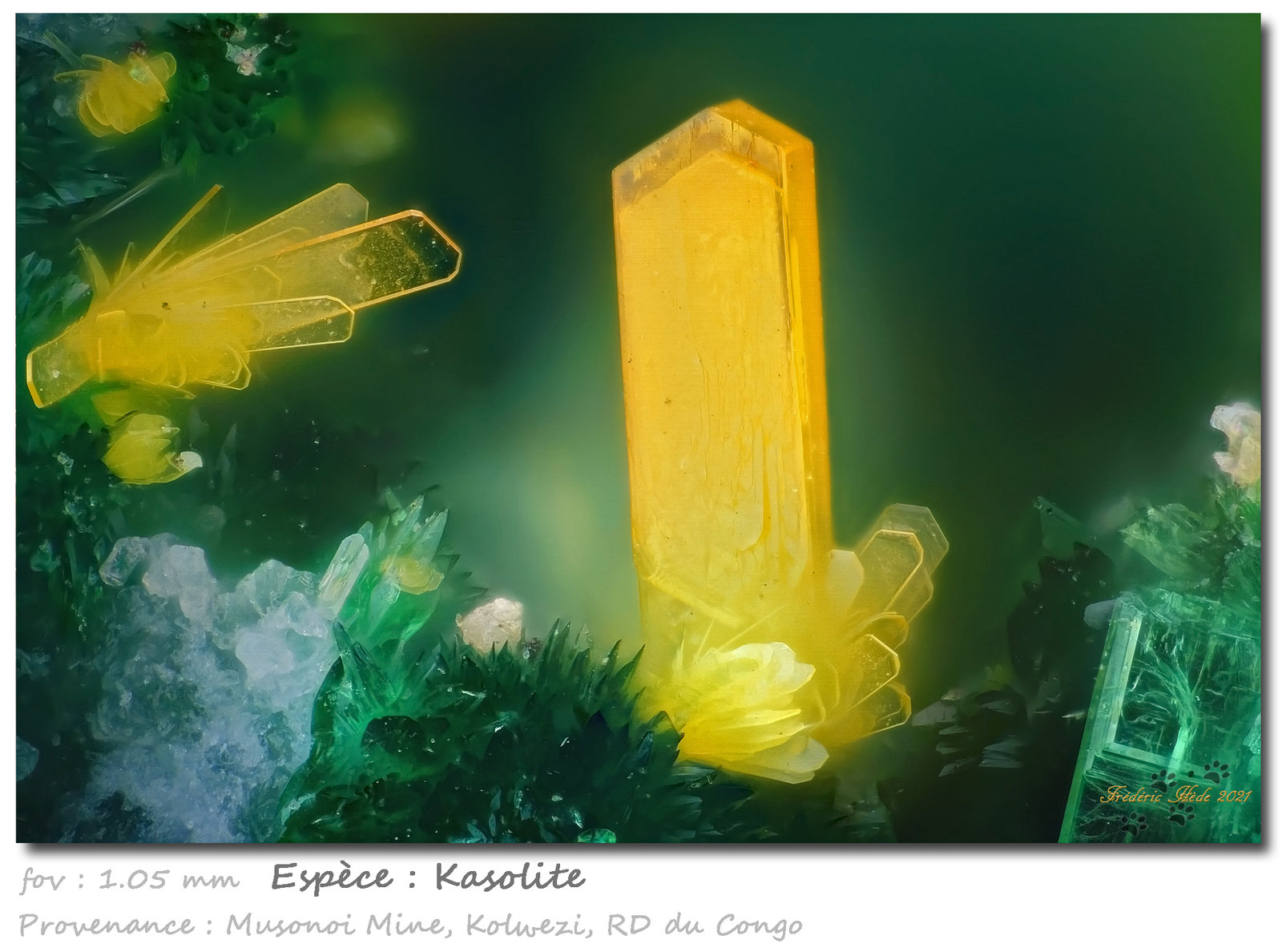 Kasolite
fov 1.05 mm
(Autor: ploum)