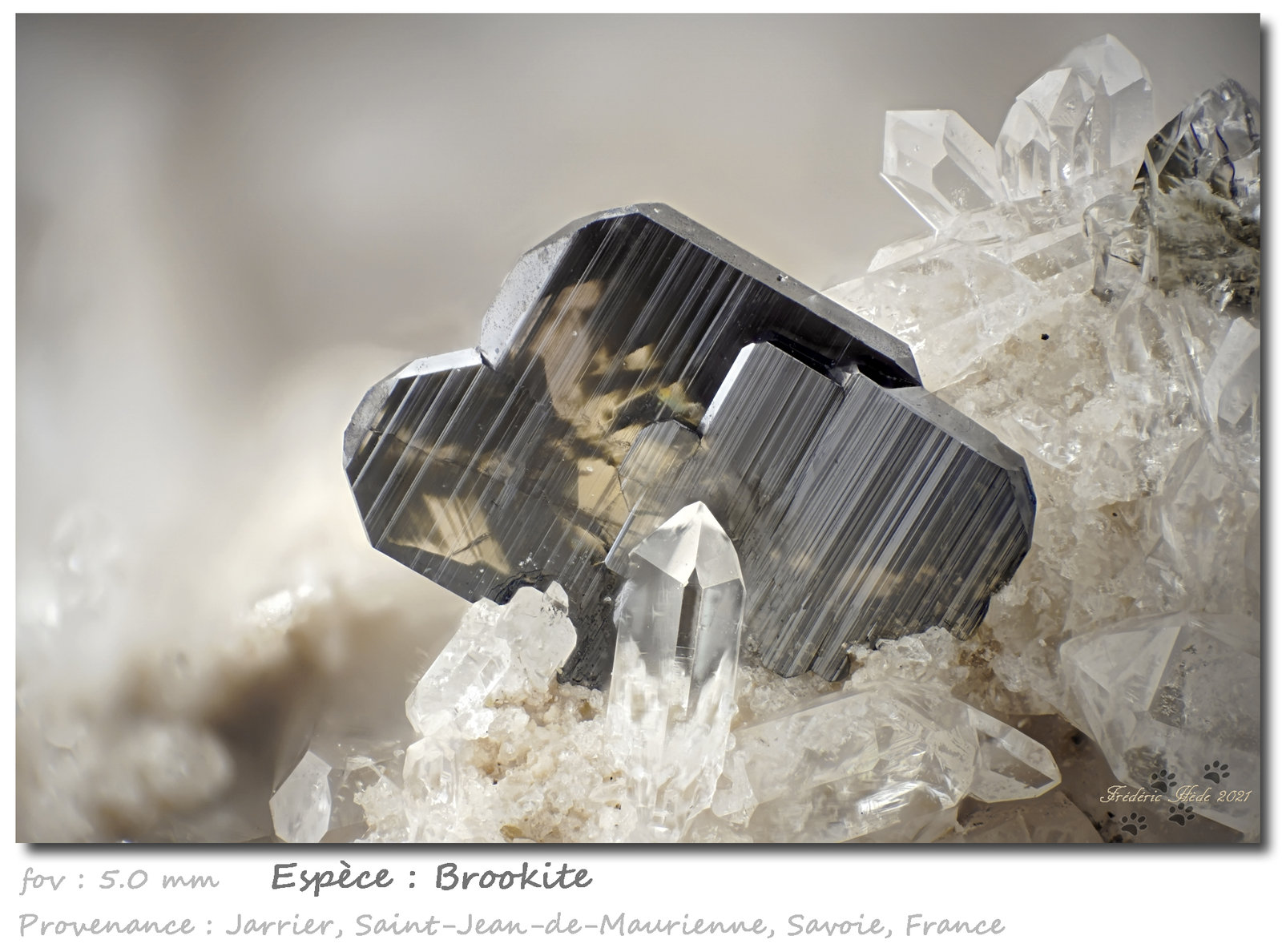 Brookite
fov 5.0 mm
(Autor: ploum)