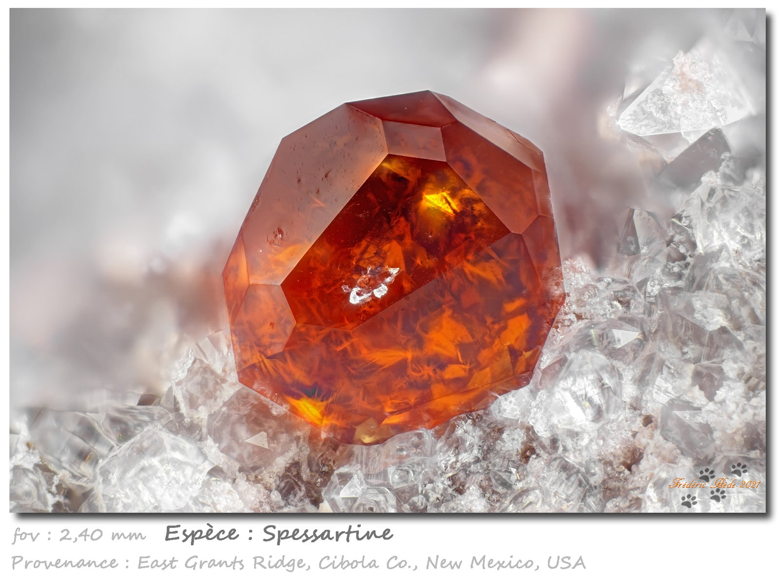 Spessartine
fov 2.4 mm
(Autor: ploum)