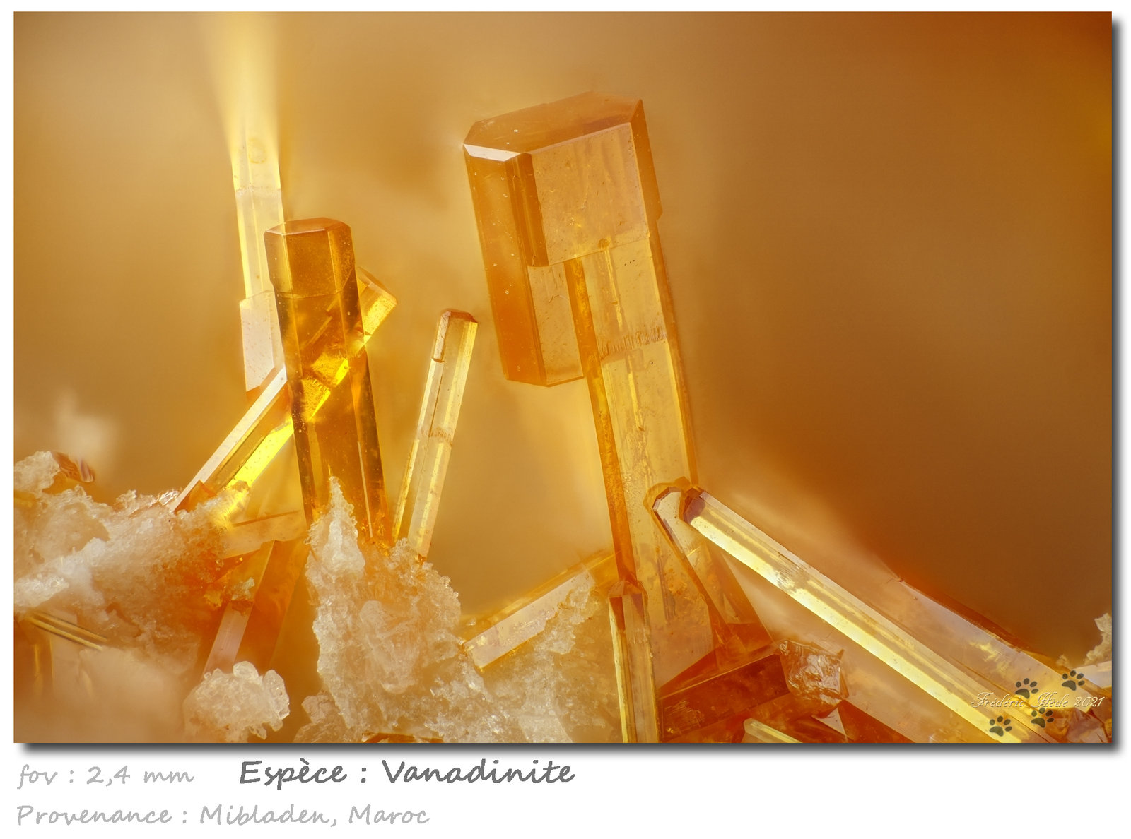 Vanadinite
fov 2.4 mm
(Autor: ploum)