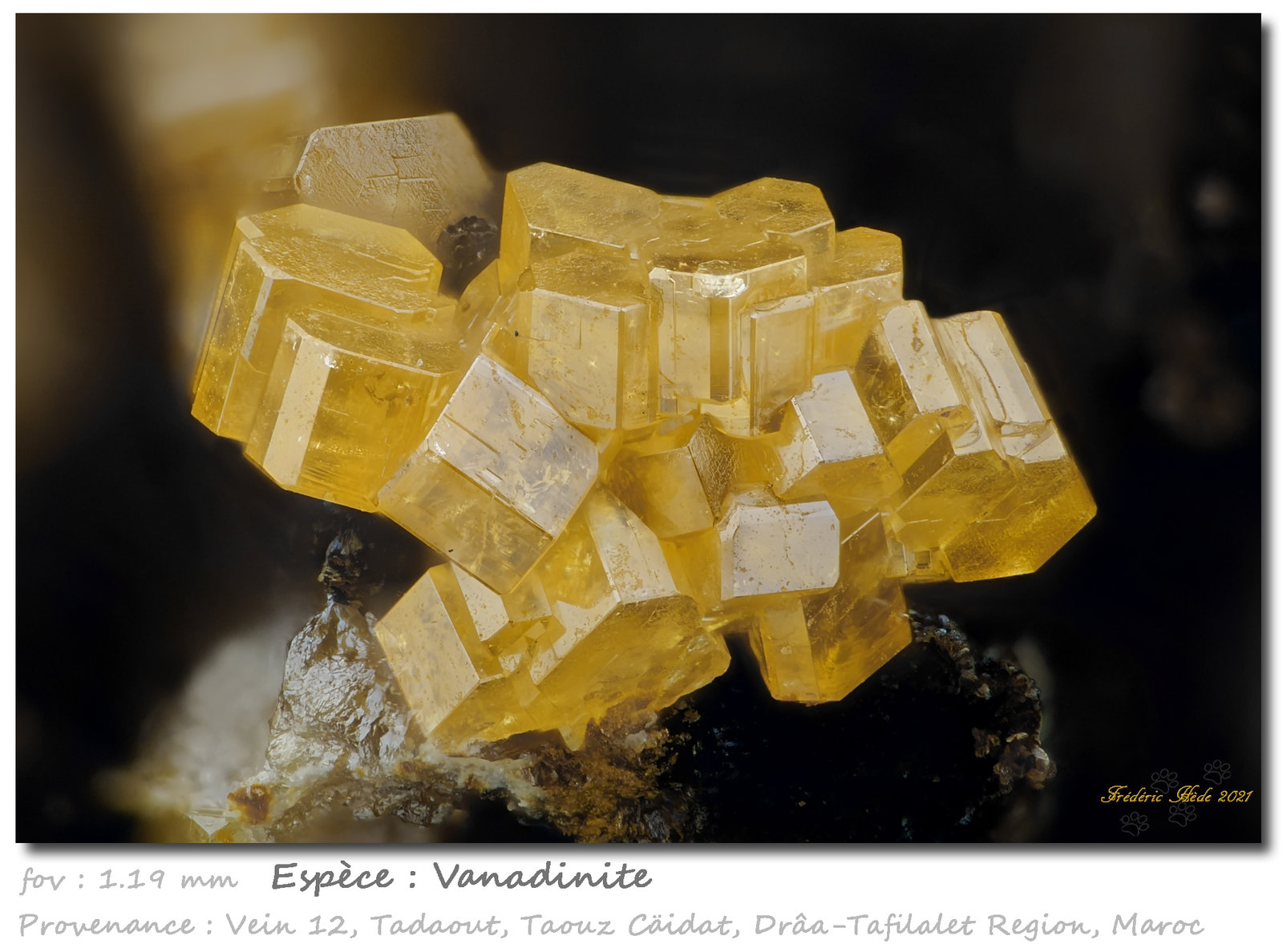 Vanadinite
fov 1.19 mm
(Autor: ploum)