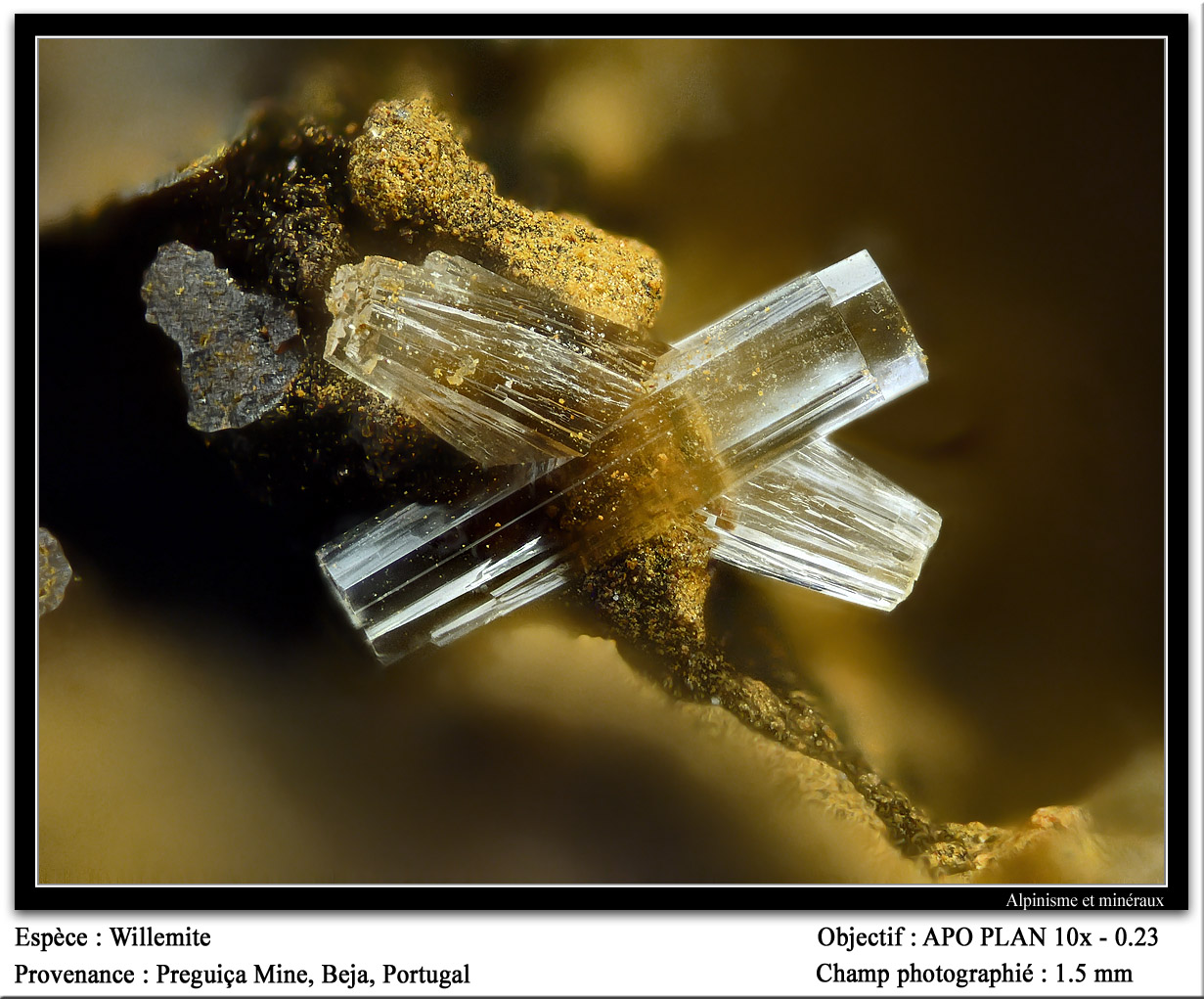 Willemite
fov 1.5 mm
(Autor: ploum)