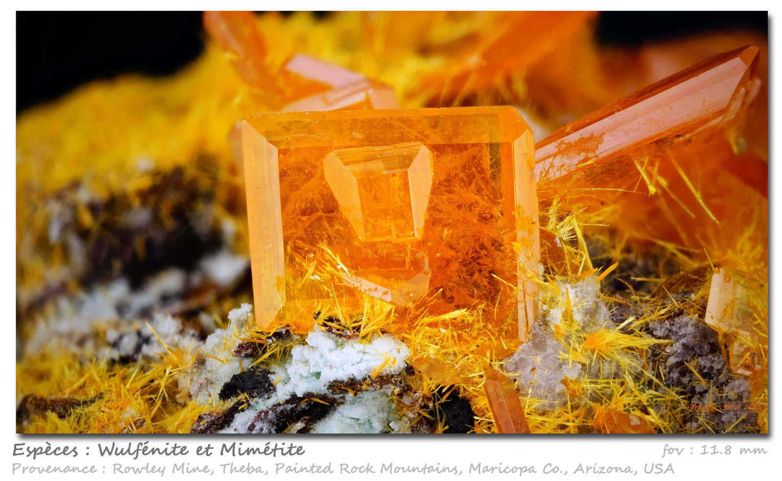 Wulfenite and Mimetite
fov 11.8 mm
(Autor: ploum)