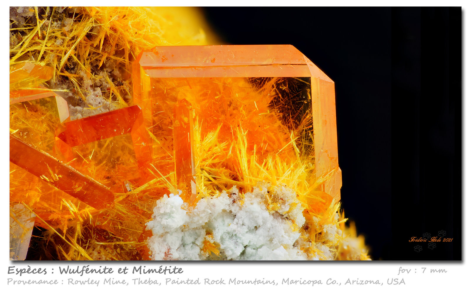 Wulfenite and Mimetite
fov 7 mm
(Autor: ploum)