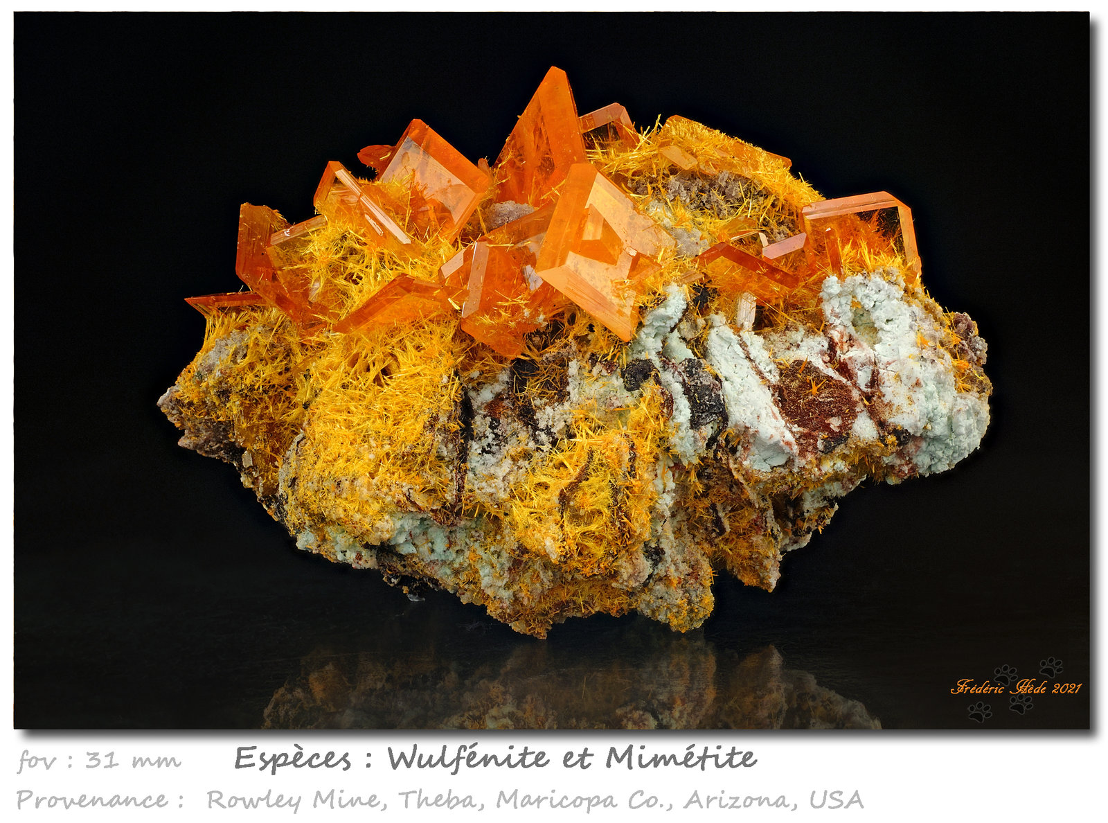 Wulfenite and Mimetite
fov 31 mm
(Autor: ploum)