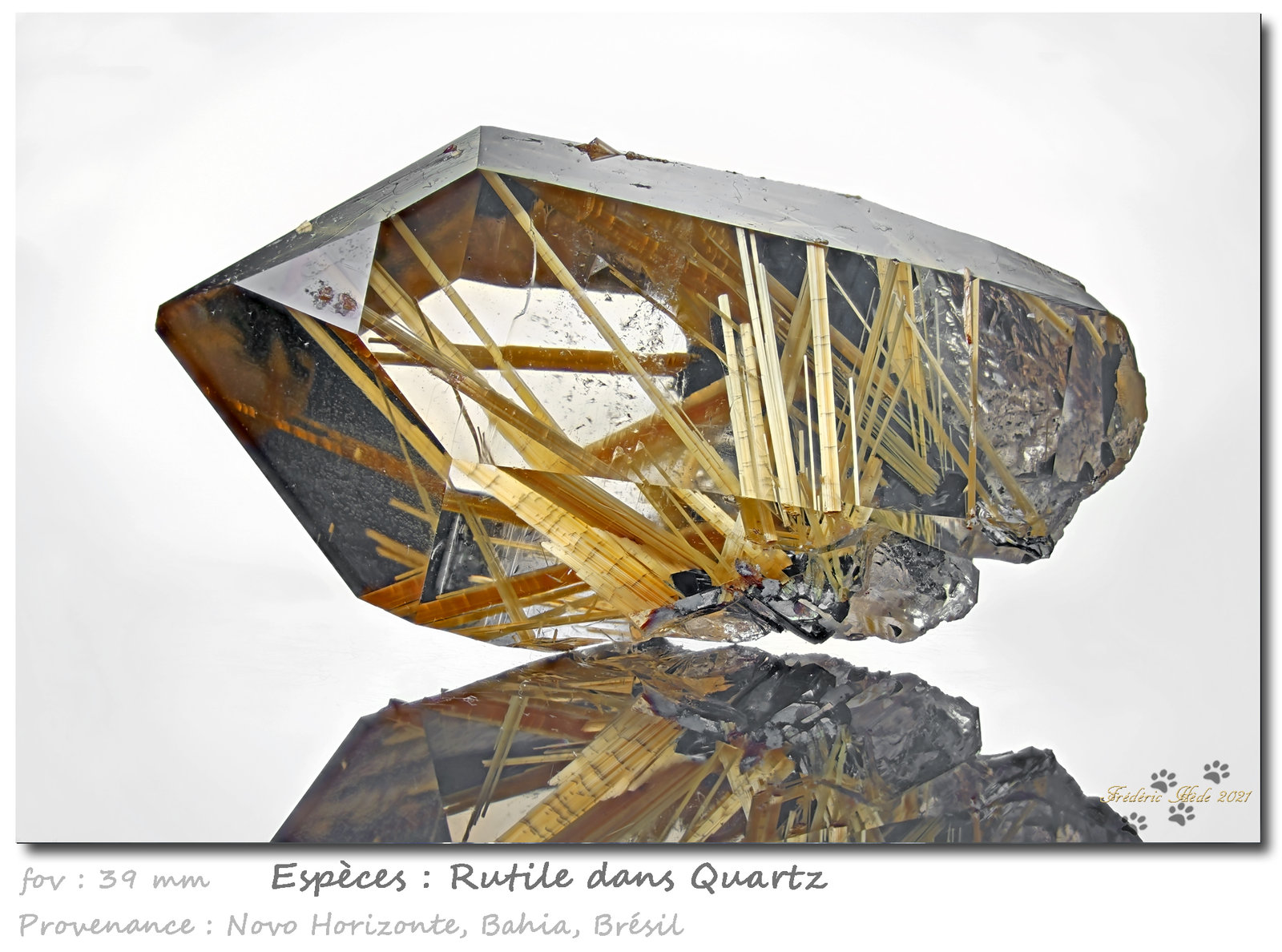 Rutile in quartz
fov 39 mm
(Autor: ploum)