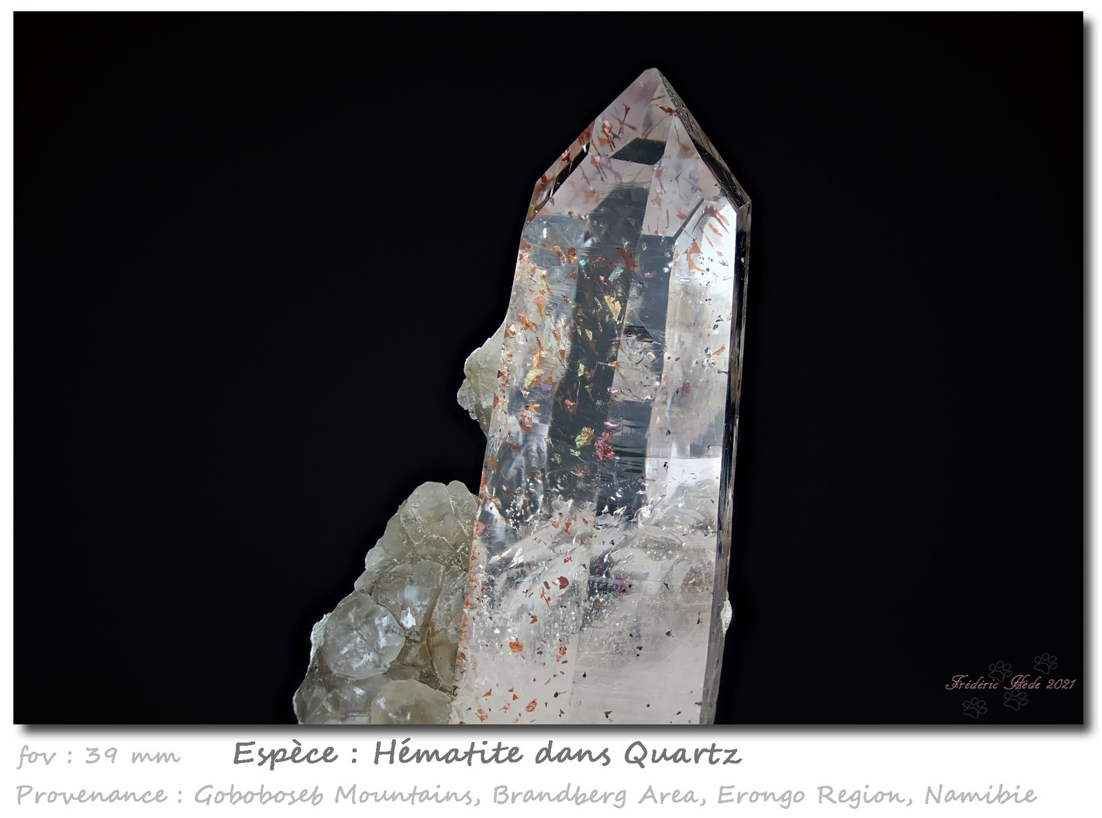 Hematite in Quartz
fov 39 mm
(Autor: ploum)