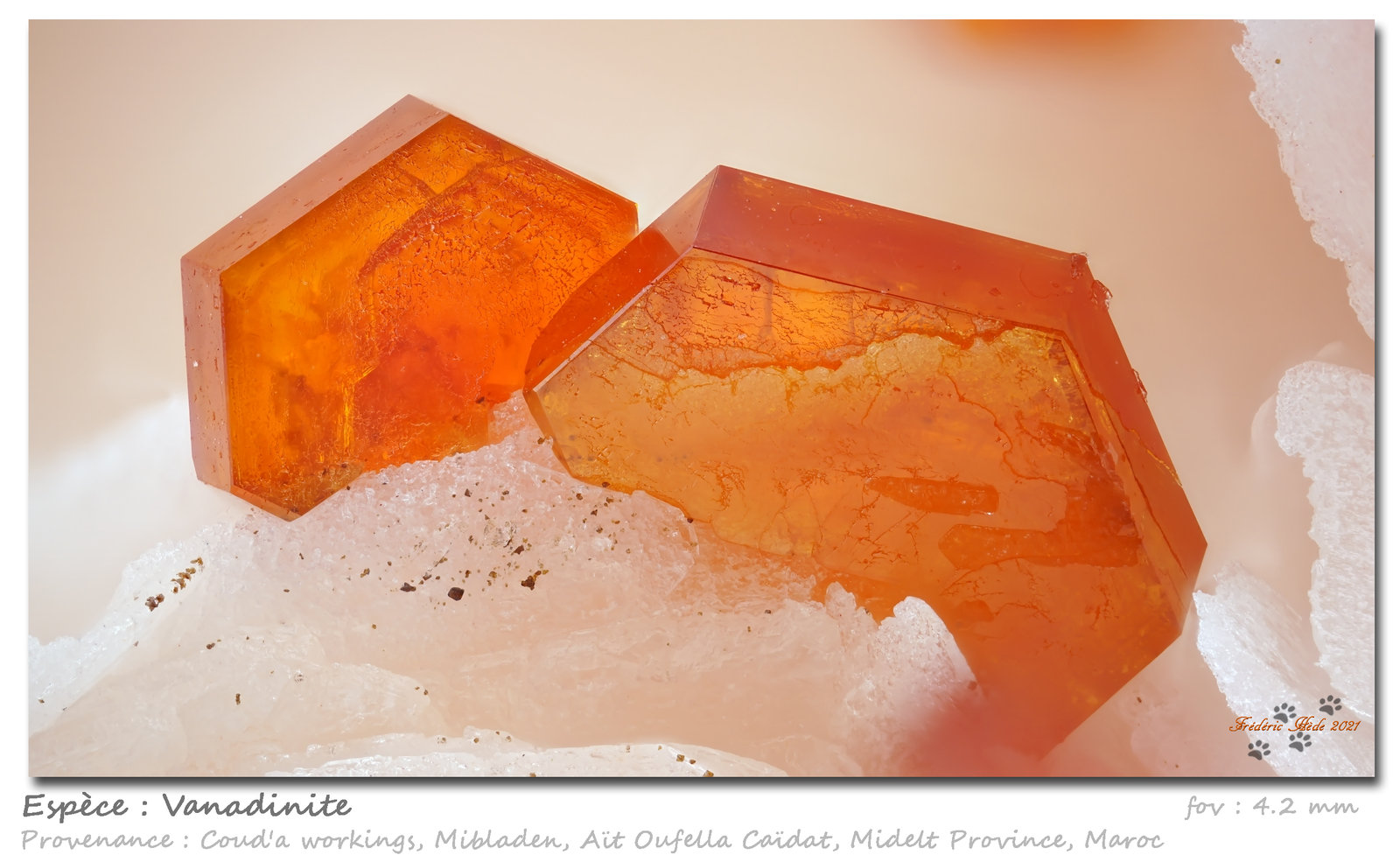 Vanadinite
fov 4.2 mm
(Autor: ploum)