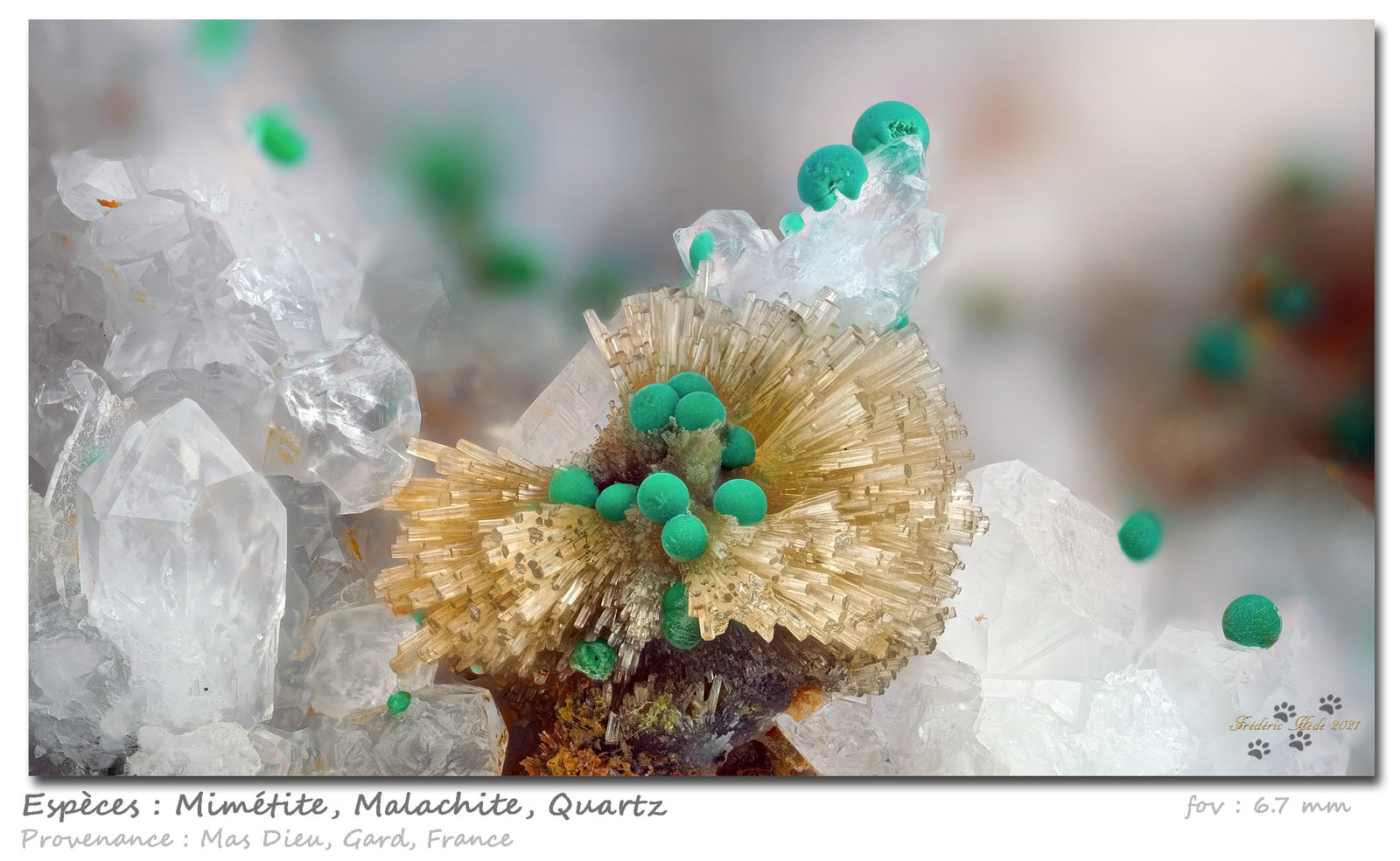 Mimetite and Malachite
fov 6.7 mm
(Autor: ploum)