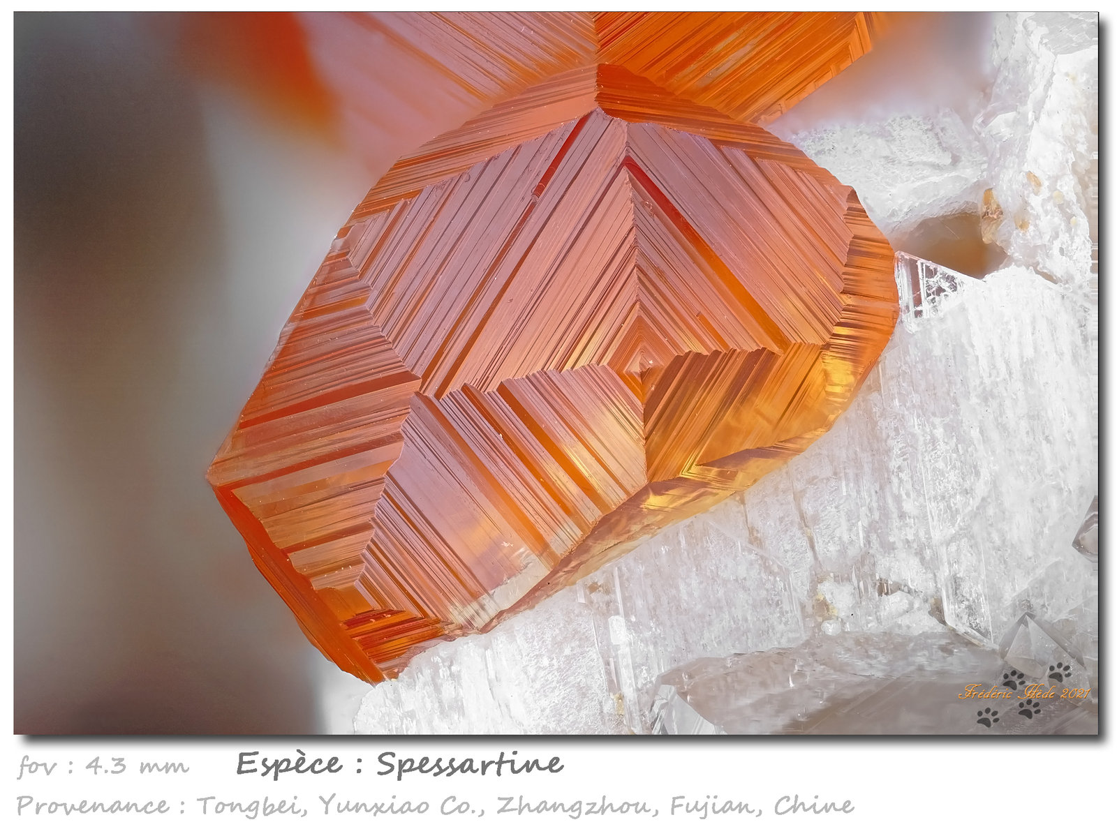 Spessartine
fov  4.3 mm
(Autor: ploum)
