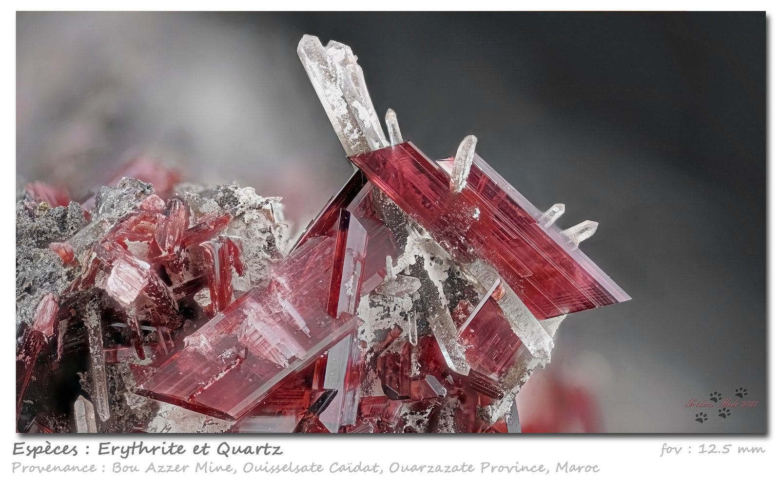 Erythrite
fov 12.5 mm
(Autor: ploum)