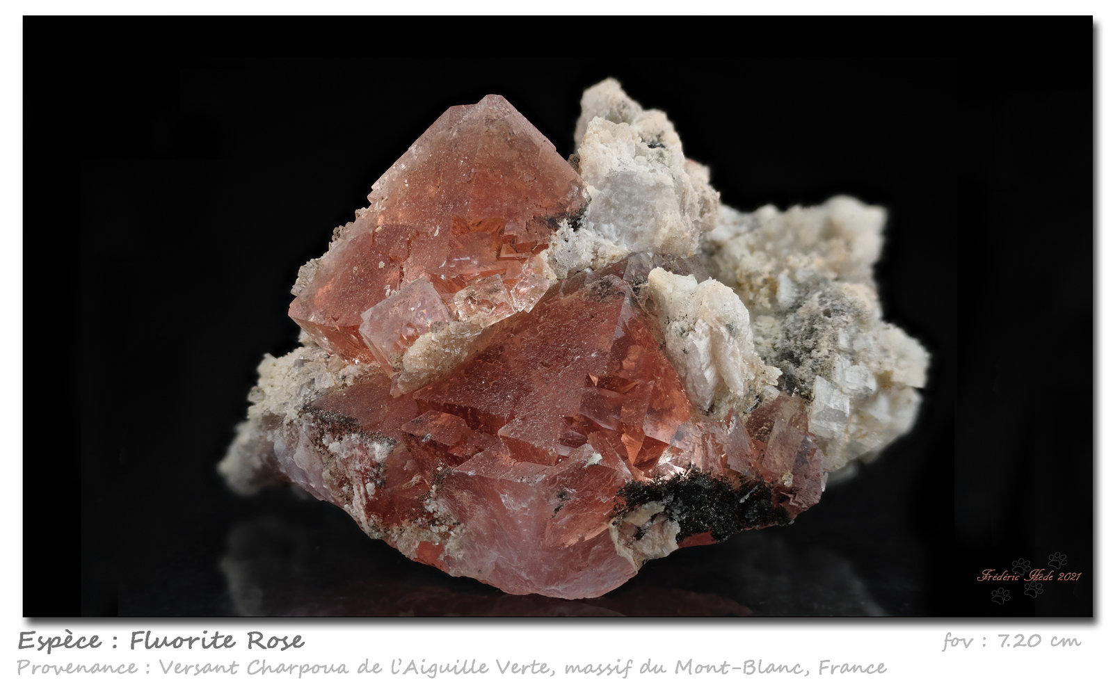 Fluorite
fov 7.20 cm
(Autor: ploum)