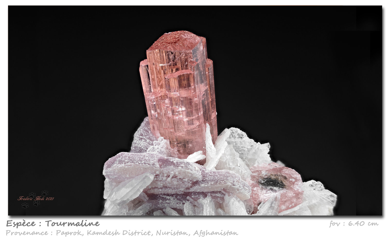 Tourmaline
6.40 cm
(Autor: ploum)