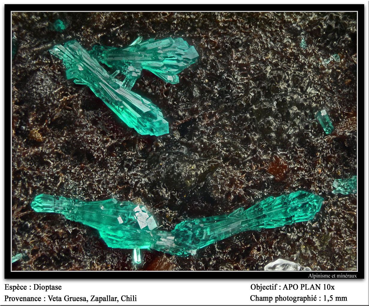 Dioptase
fov 1.5 mm
(Autor: ploum)
