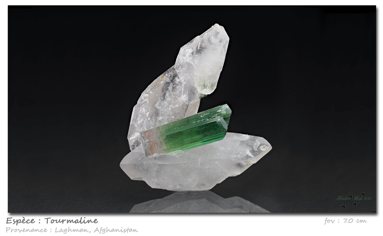 Tourmaline
fov 7.0 cm
(Autor: ploum)