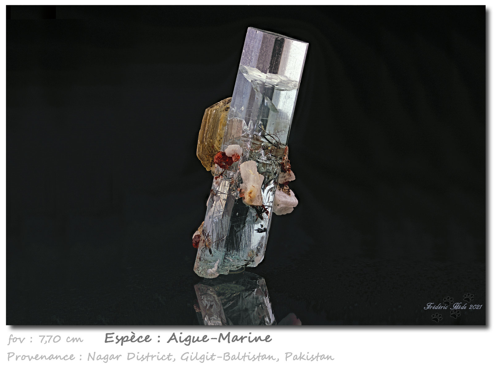 Beryl (variety aquamarine)
fov 7.70 cm
(Autor: ploum)