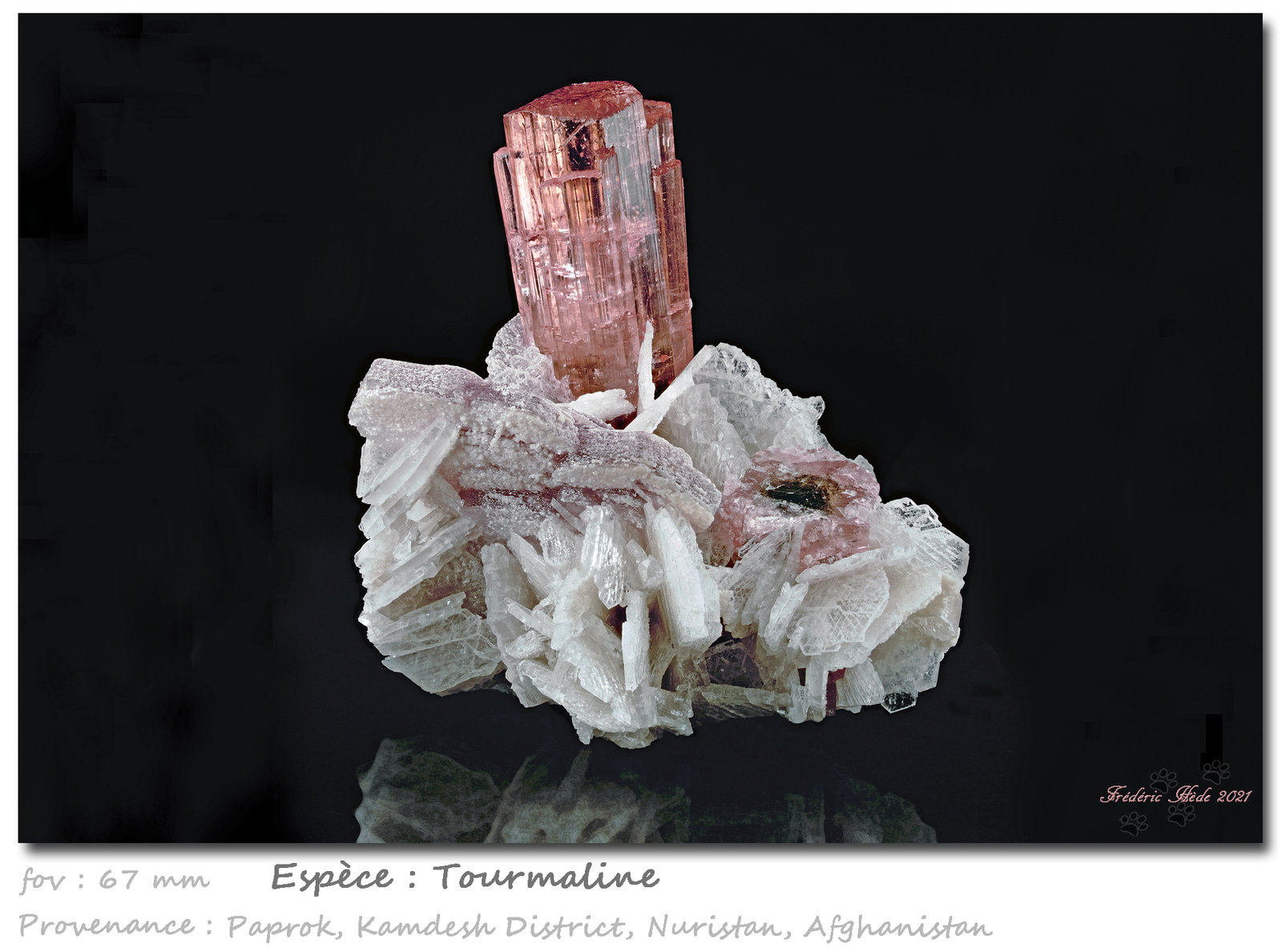 Tourmaline
fov 67 mm
(Autor: ploum)