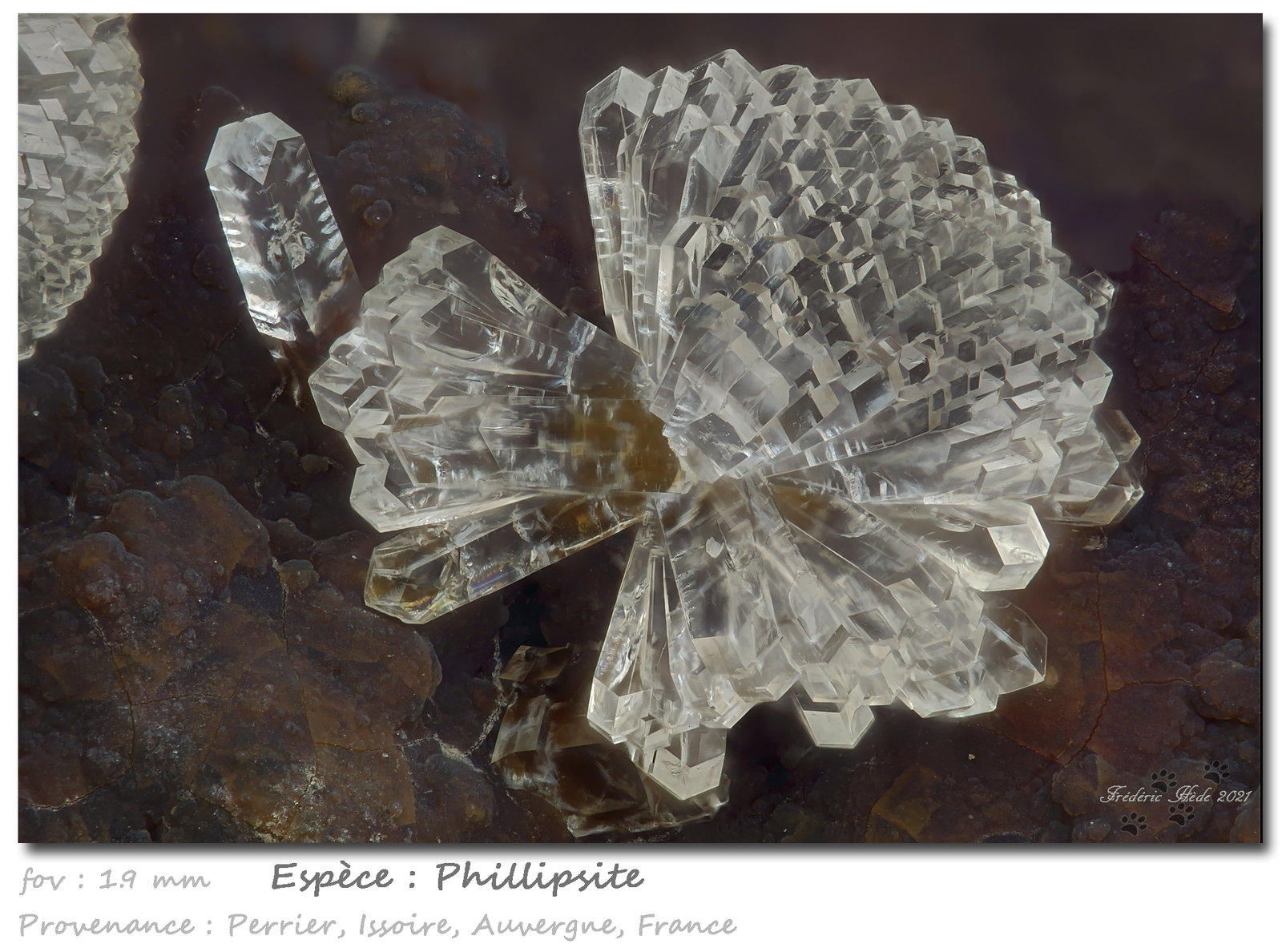 Phillipsite
fov 1.9 mm
(Autor: ploum)