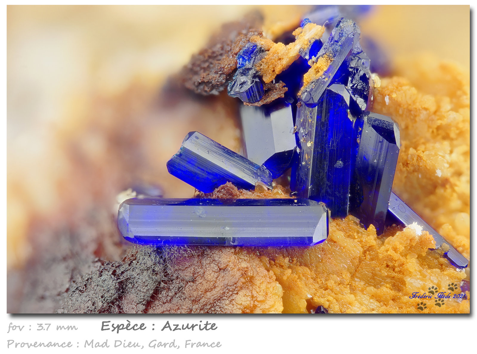 Azurite
fov 3.7 mm
(Autor: ploum)
