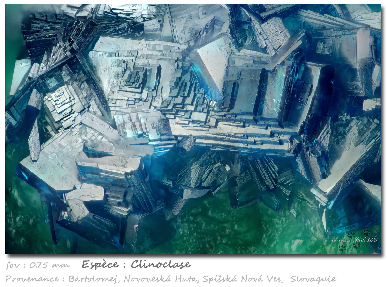 Clinoclase
fov 0.75 mm
(Autor: ploum)