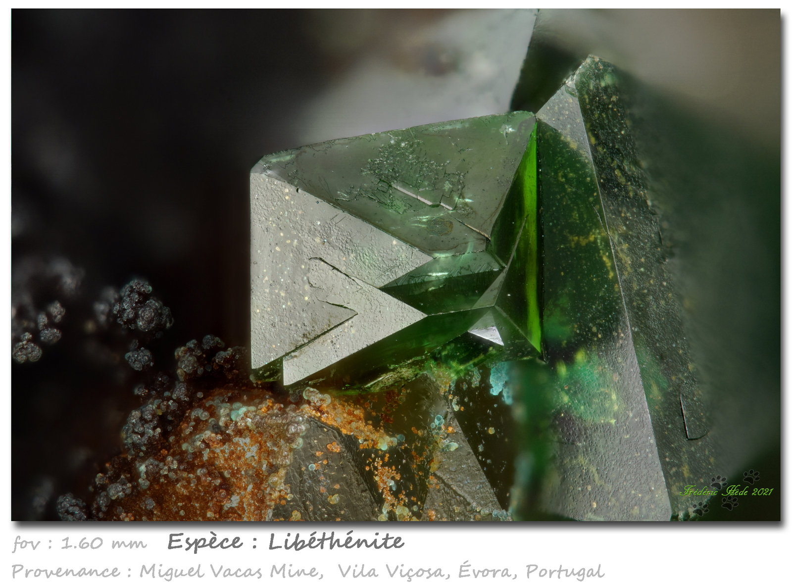 Libethenite
fov 1.6 mm
(Autor: ploum)