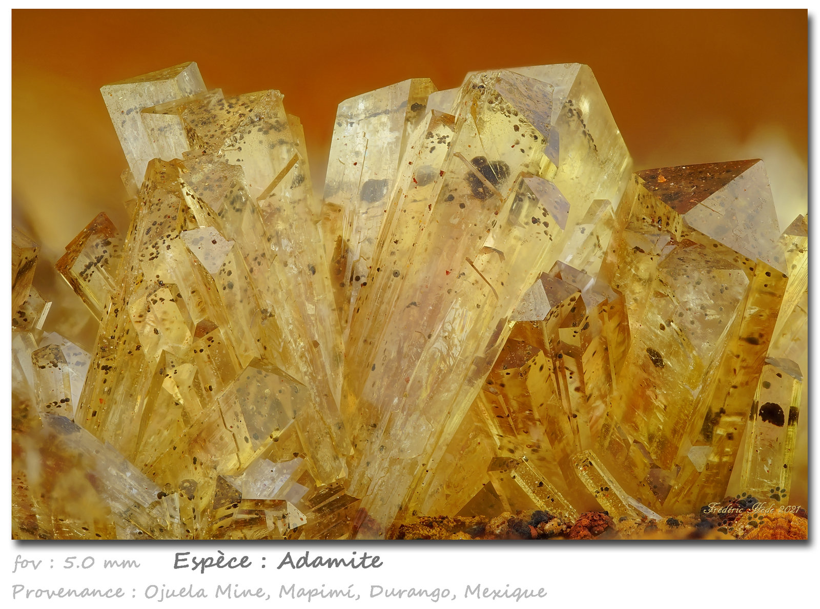 Adamite
fov 5.0 mm
(Autor: ploum)