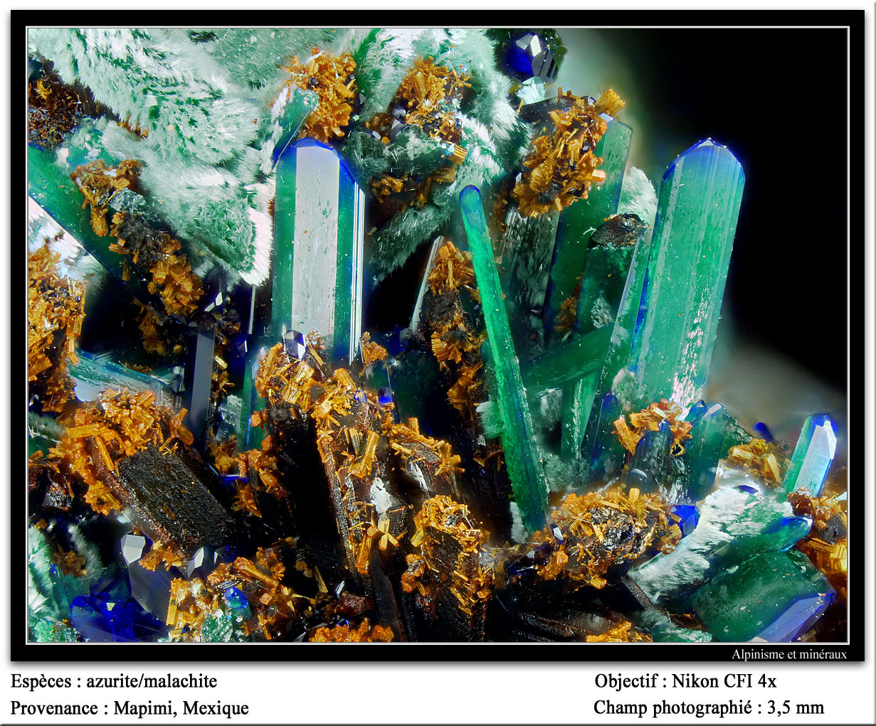 Azurite and malachite
fov 3.5 mm
(Autor: ploum)