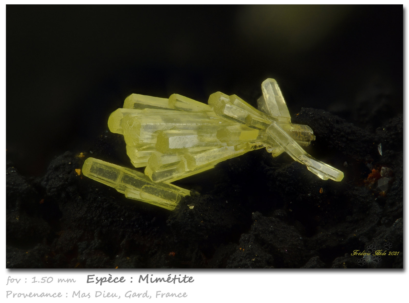 Mimetite
fov 1.5 mm
(Autor: ploum)